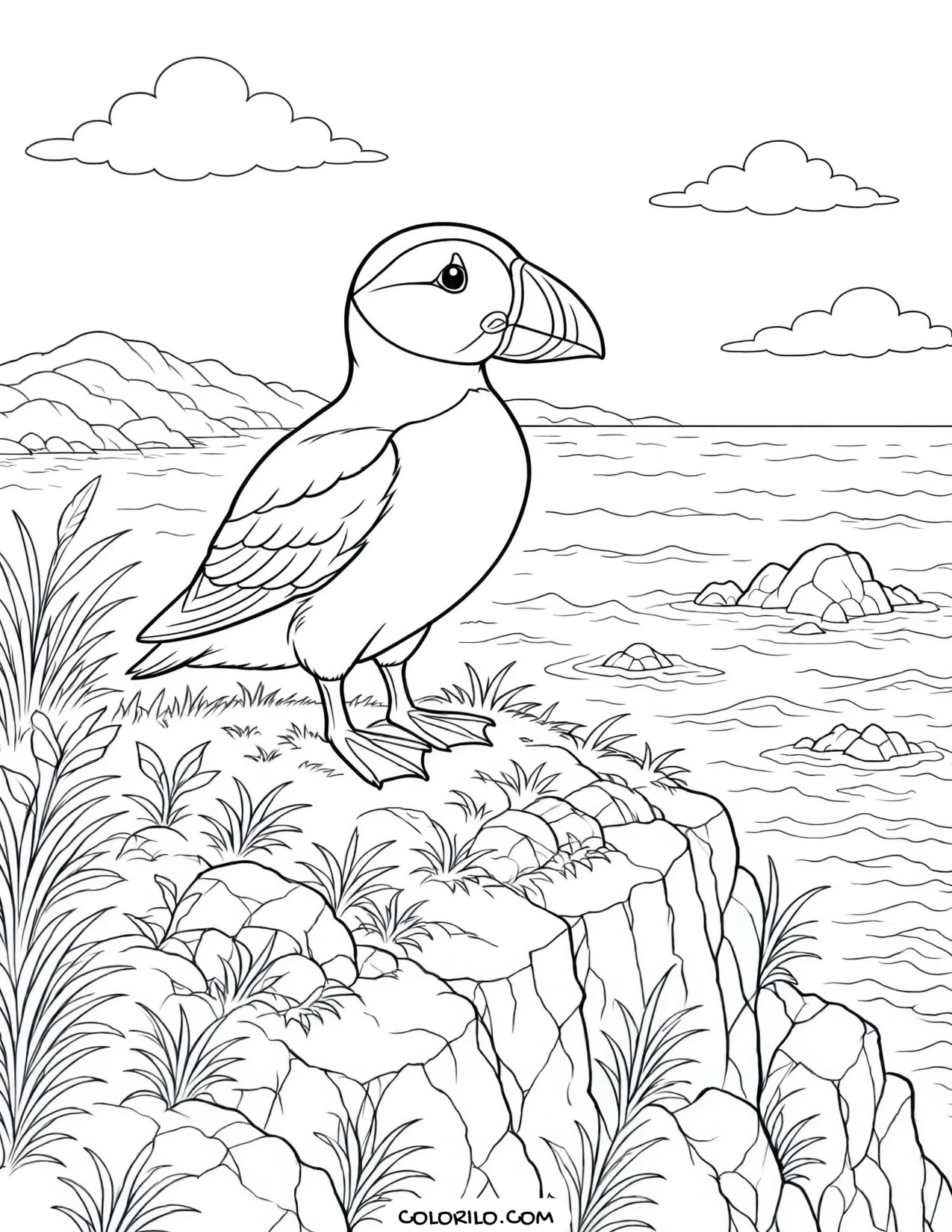 An Atlantic puffin on a grassy sea cliff coloring page