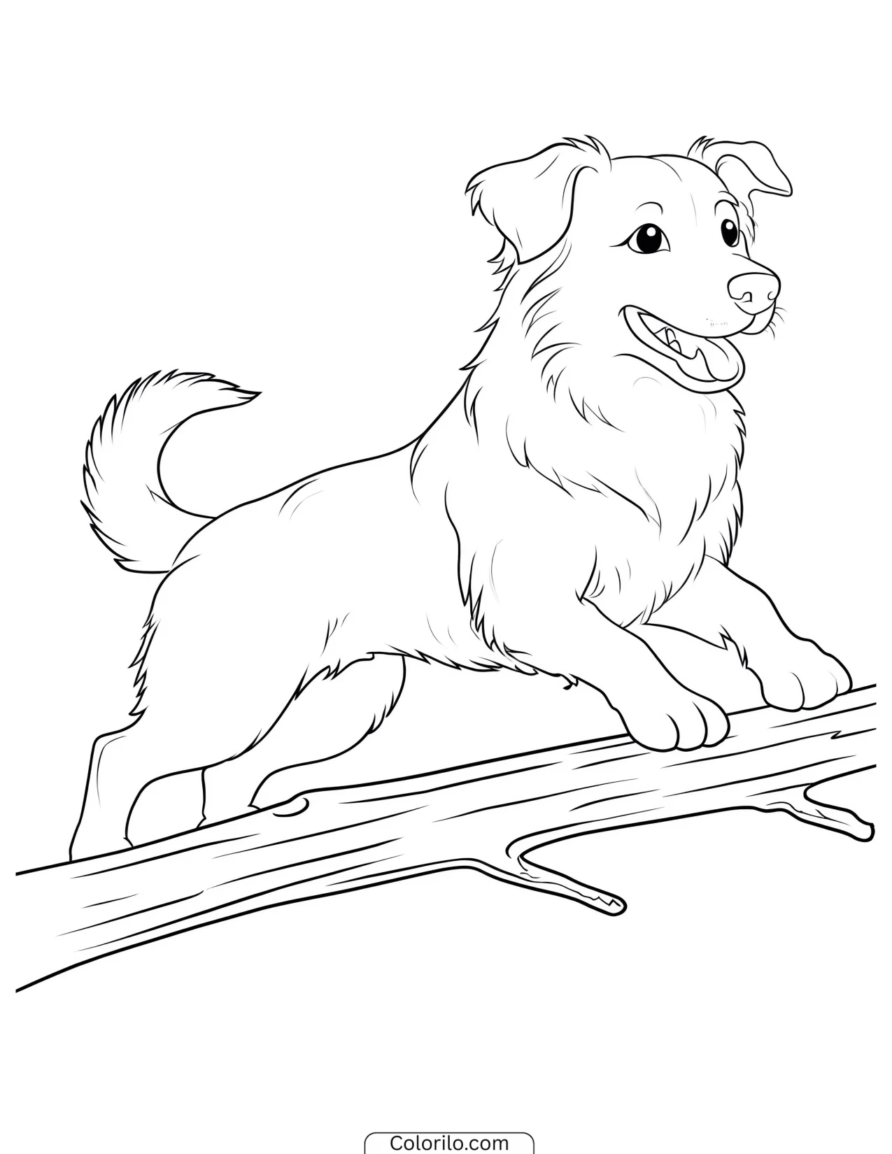 An Australian Shepherd leaping through the air coloring page