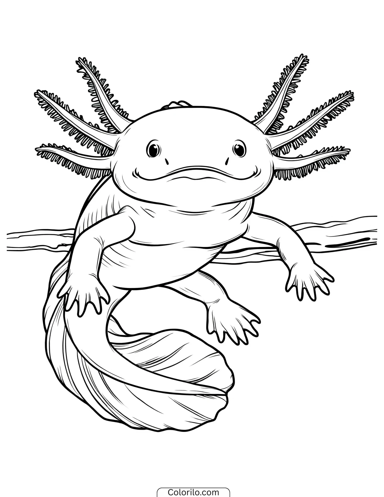Axolotl resting beside a submerged branch coloring page