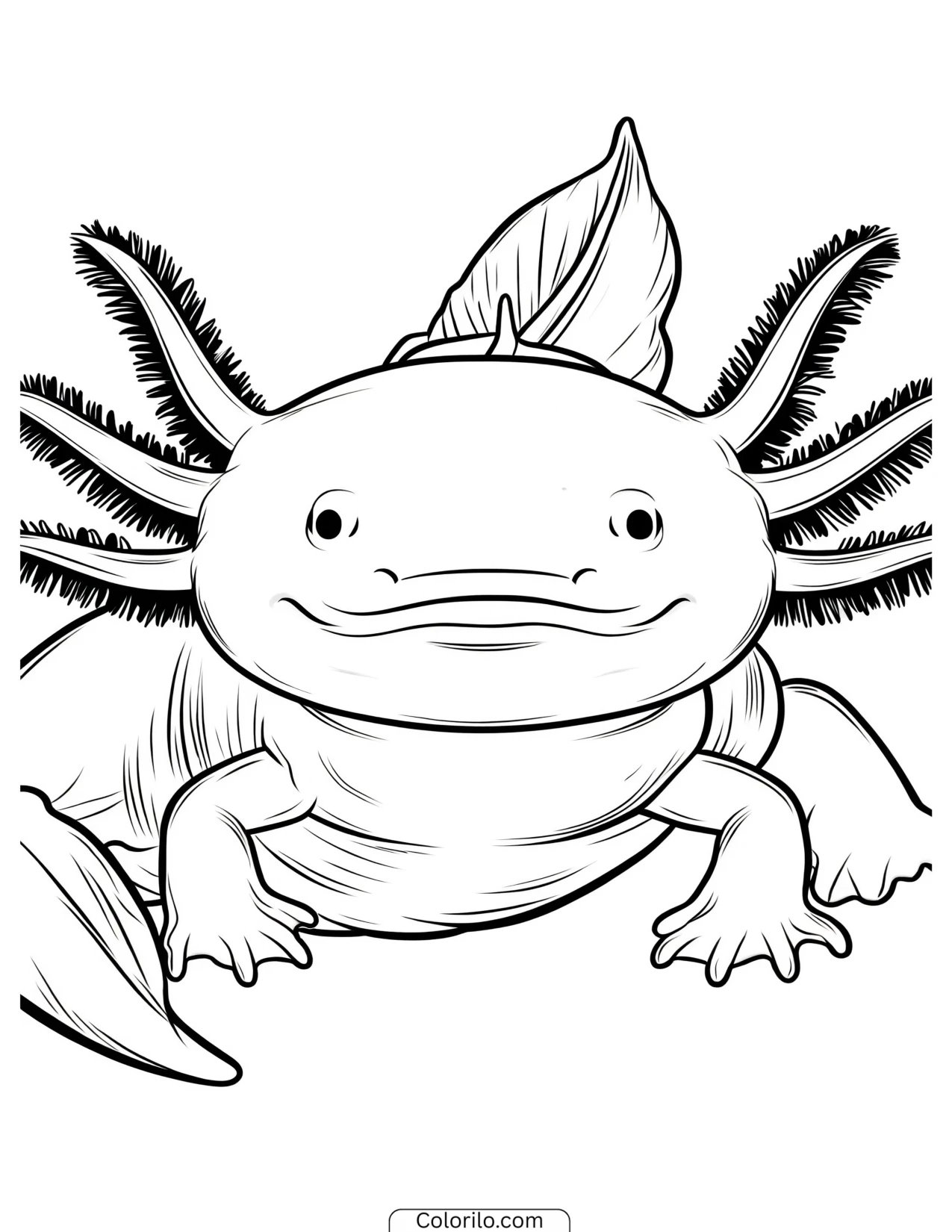 Close-up of an axolotl with a wide smile coloring page