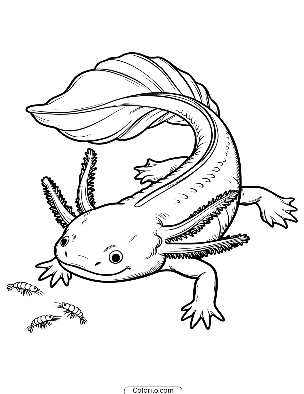 Axolotl chasing after a shrimp coloring page