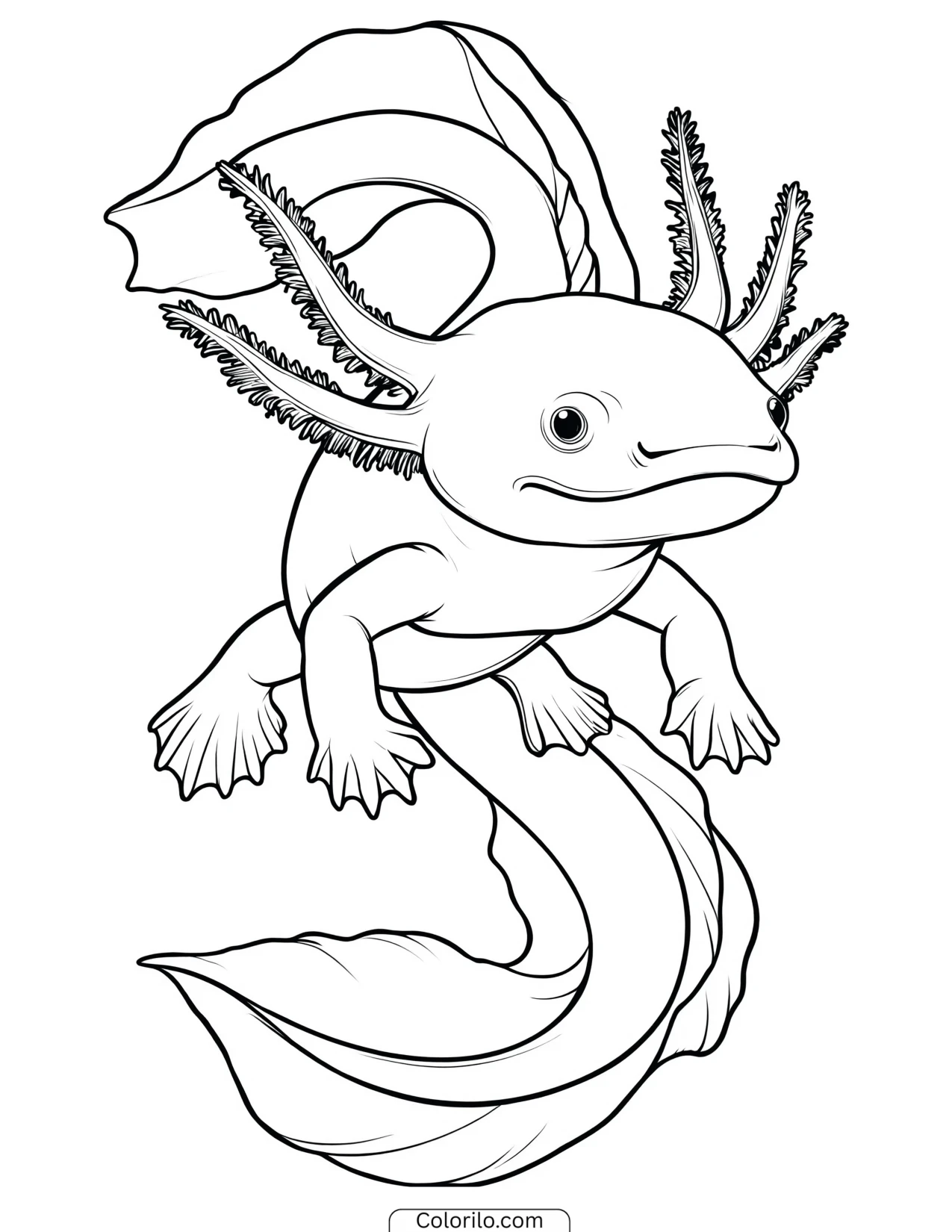 Axolotl floating peacefully in still water coloring page