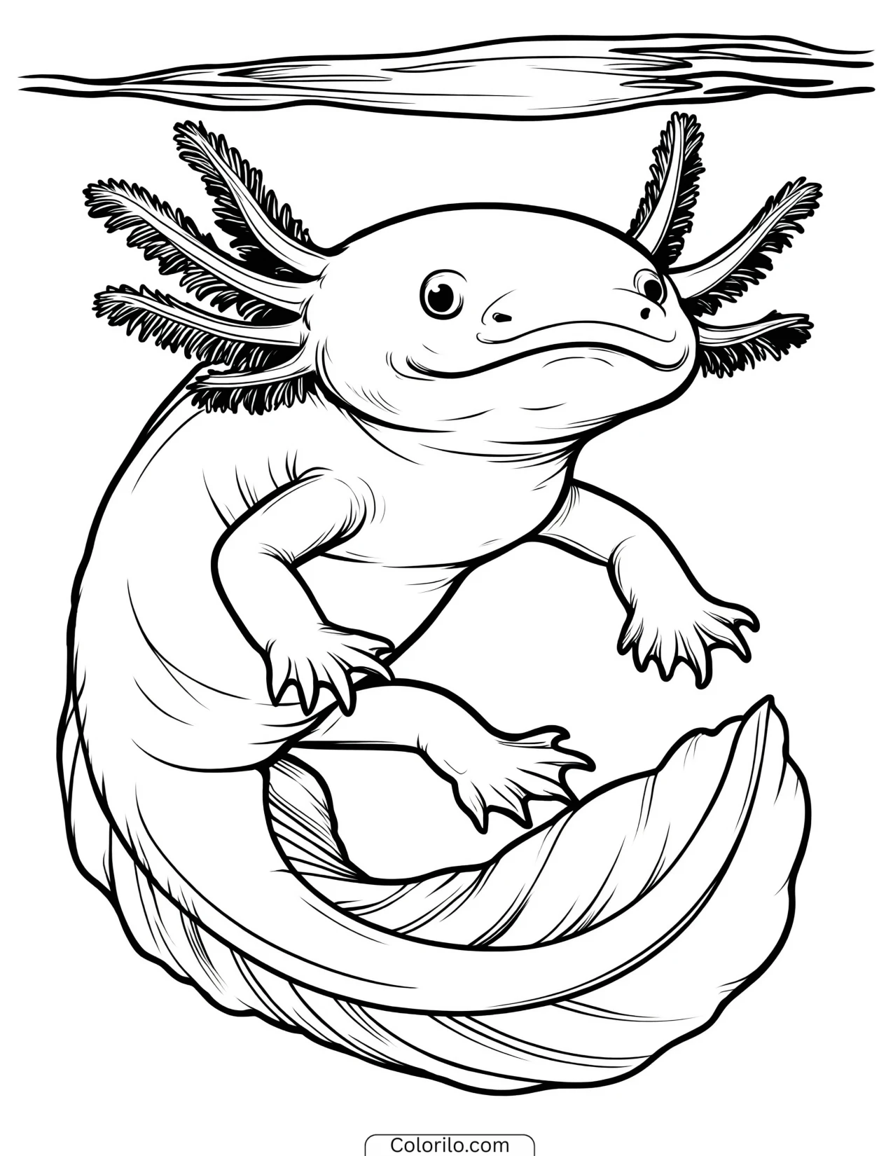 Axolotl gliding forward through the water coloring page