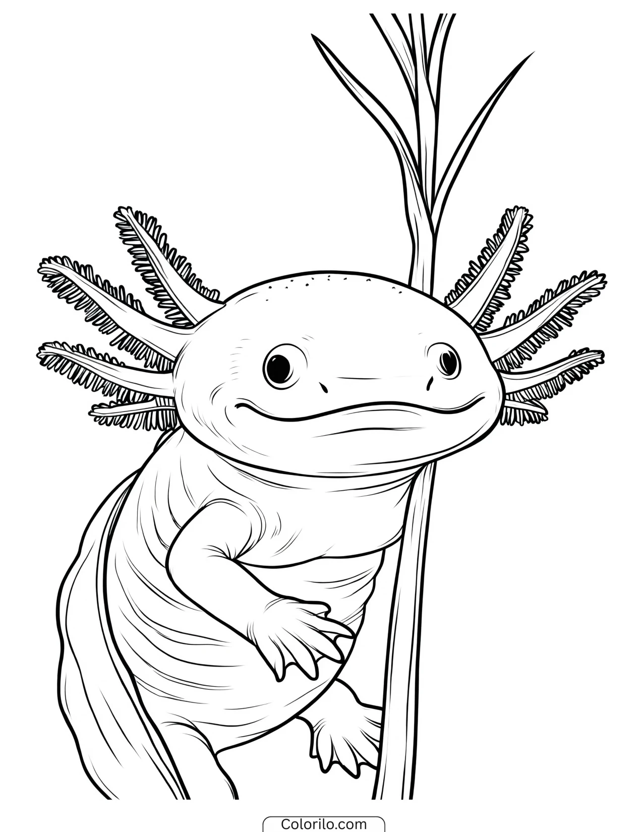 Axolotl hugging a leafy water plant coloring page