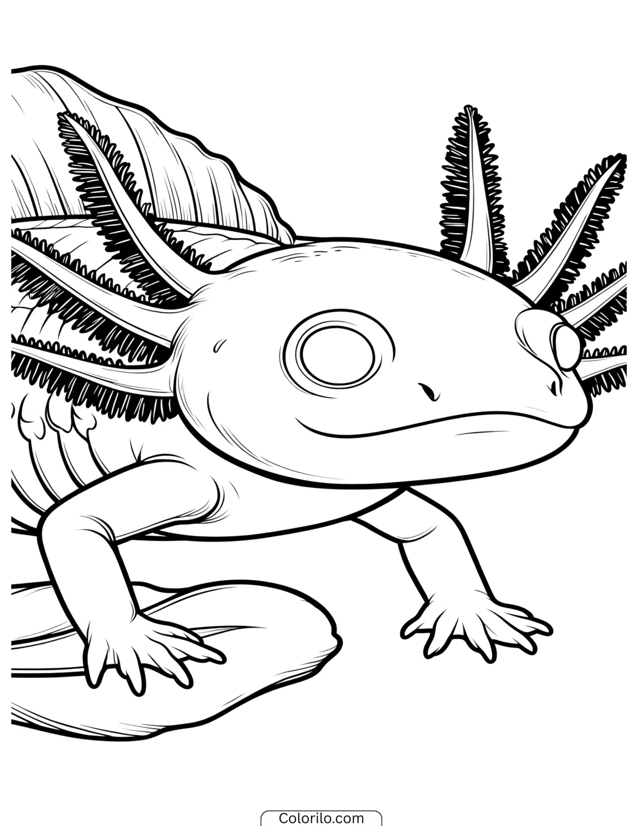 Axolotl tilting its face upward coloring page
