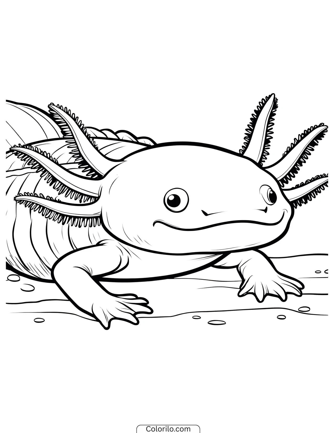 Axolotl resting on the ground of its tank coloring page