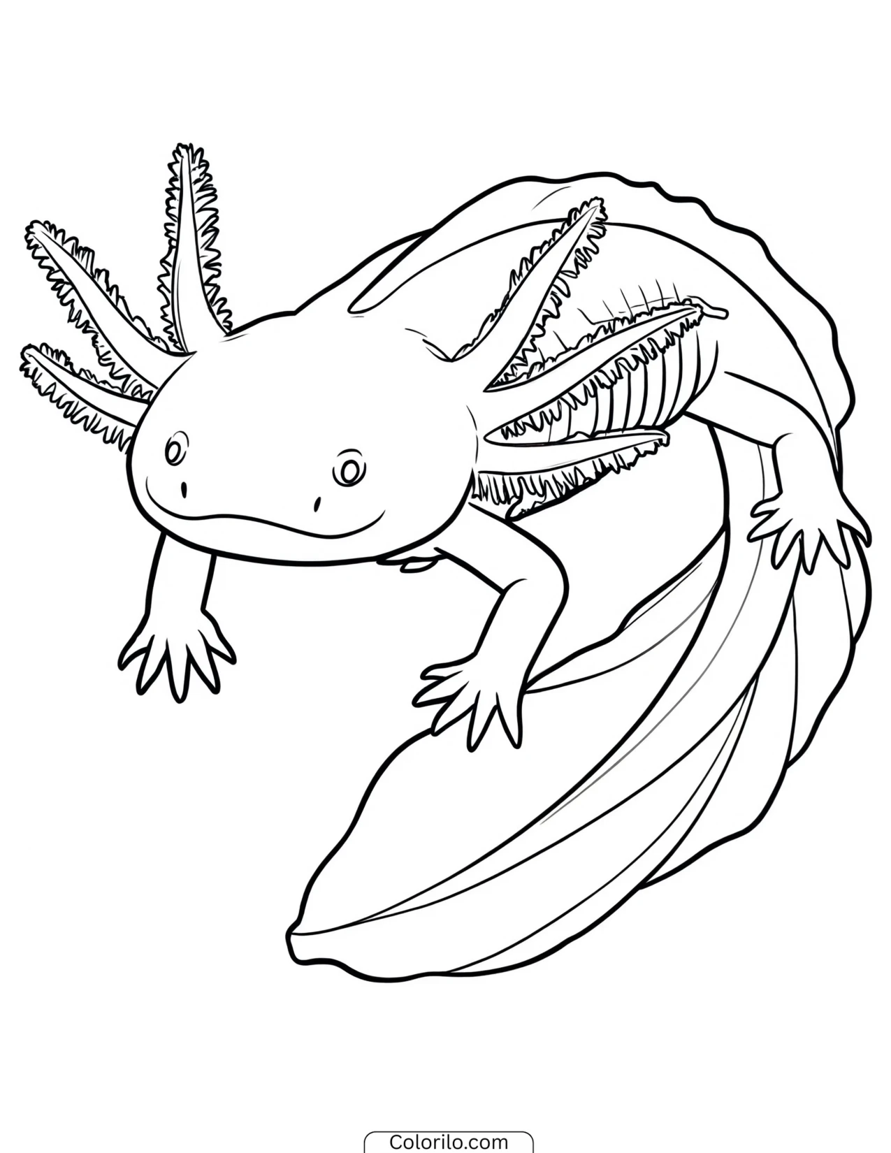 Axolotl stretched out full length coloring page