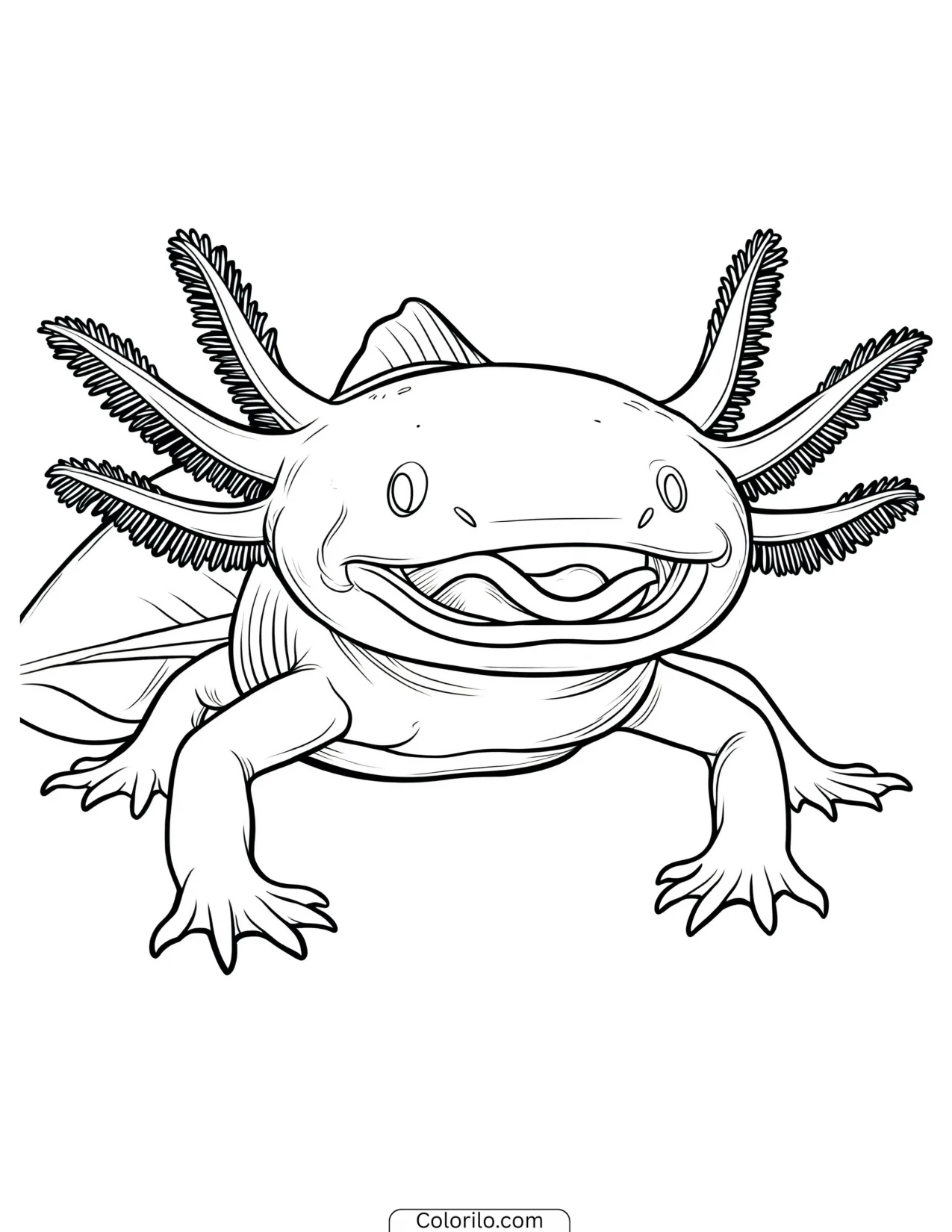 Axolotl tilting its head curiously coloring page