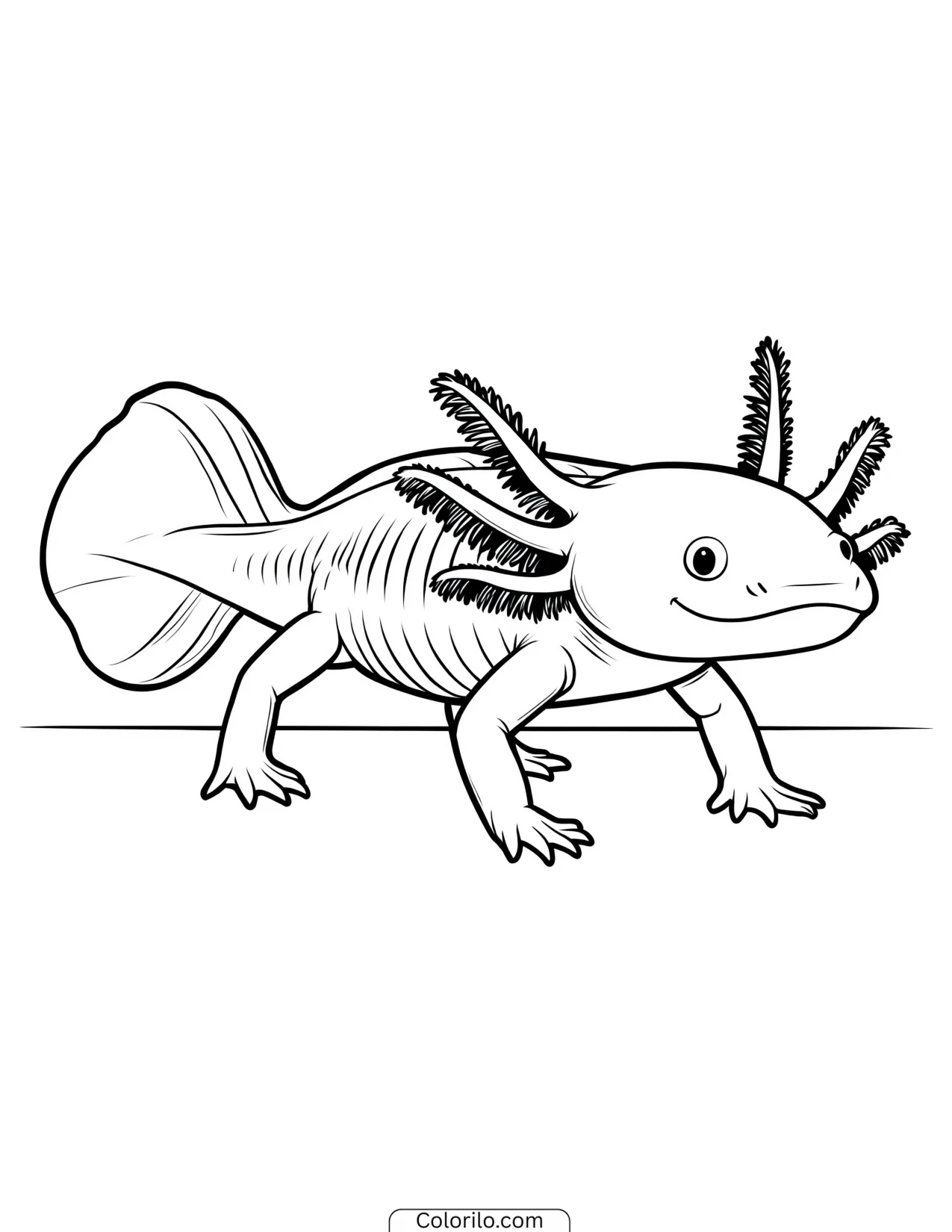 Axolotl waving its feathery external gills coloring page