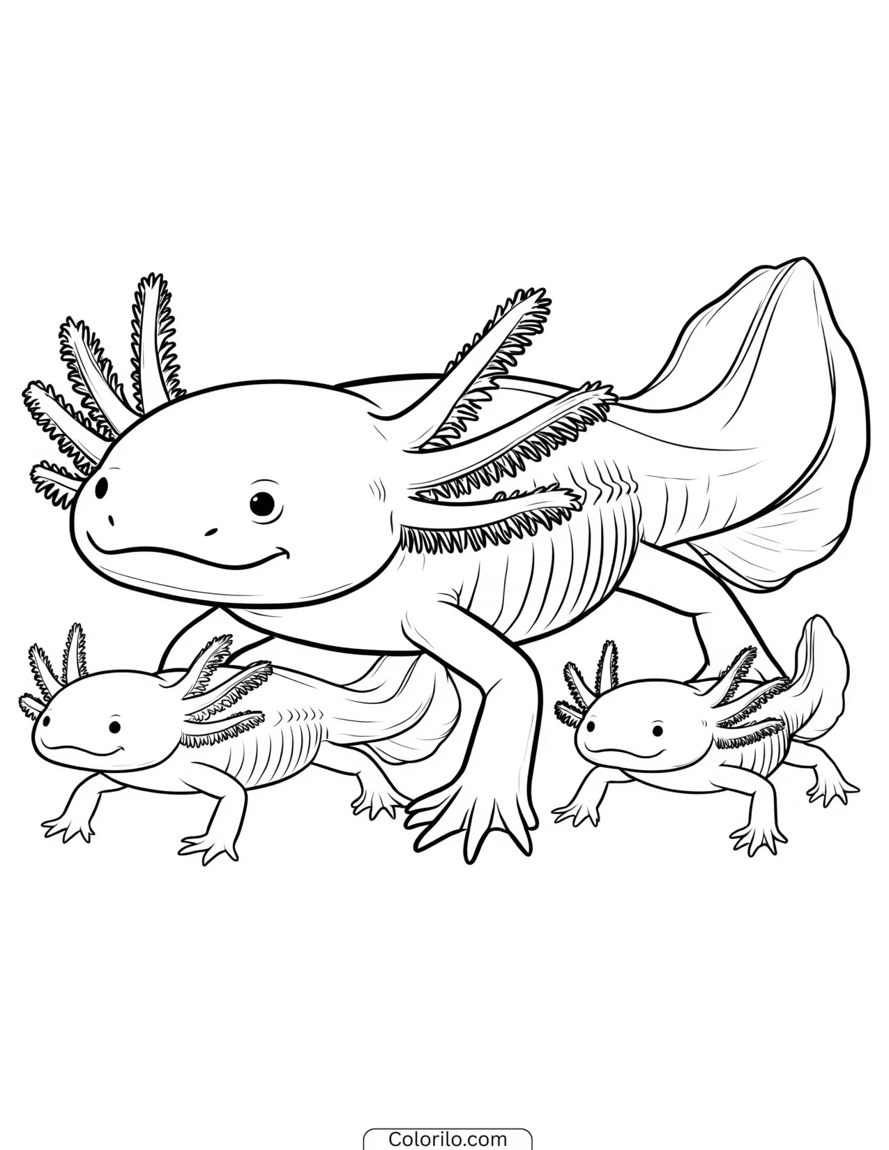 Axolotl swimming with two hatchlings coloring page