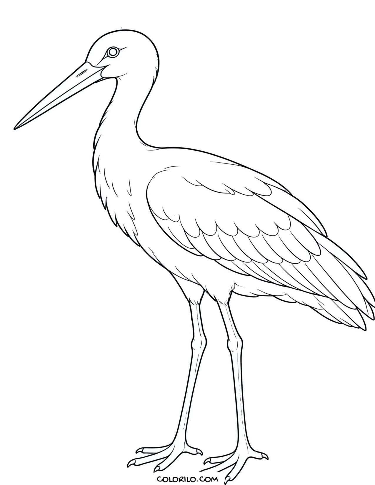 A Baltimore oriole coloring page