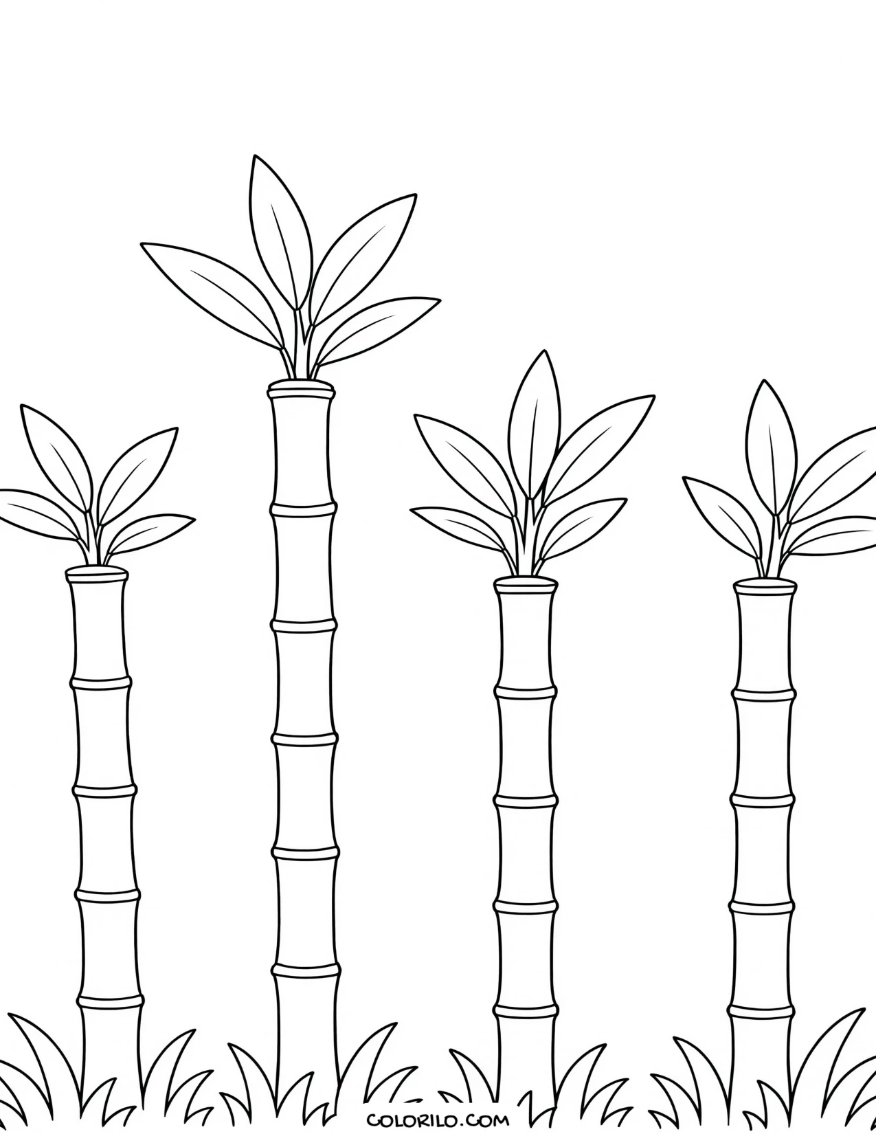 tall bamboo stalks with narrow leaves coloring page