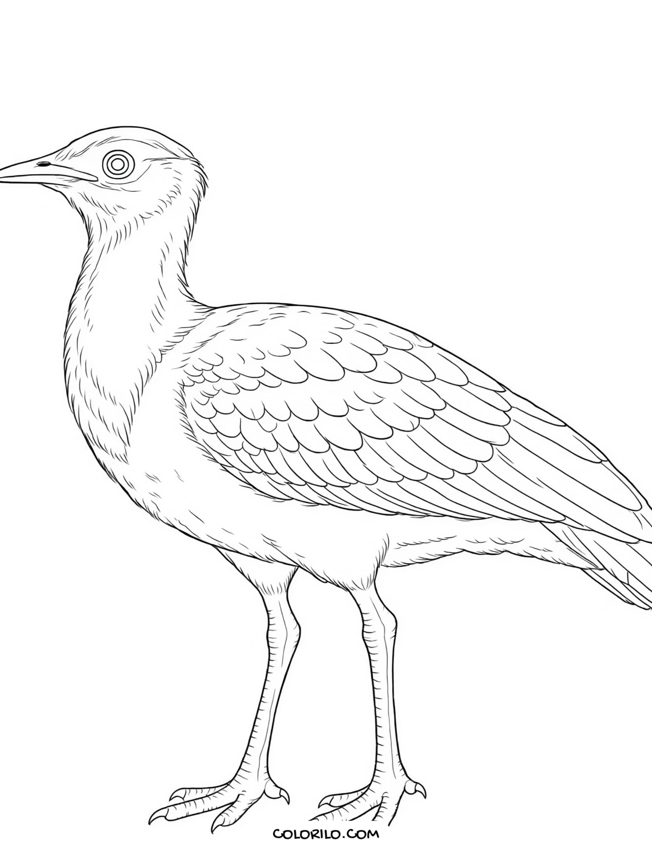 A barn owl coloring page