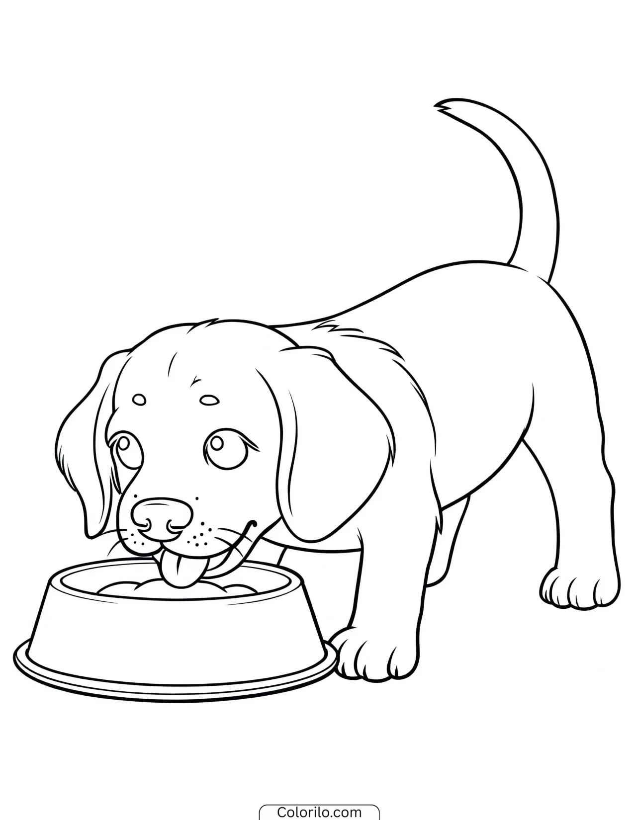 A Beagle puppy eating from its bowl coloring page