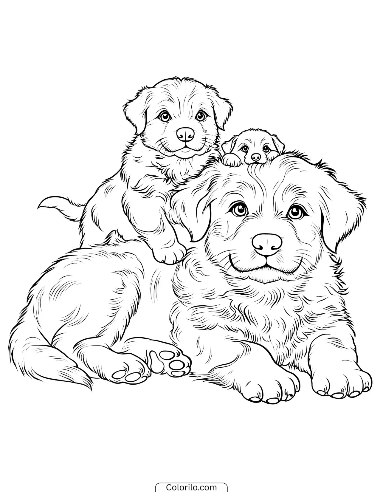 A Bernese Mountain Dog with its family coloring page
