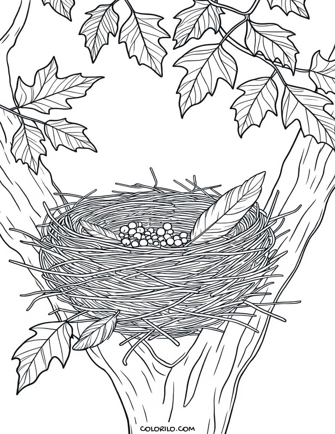 A bird's nest among autumn berries coloring page