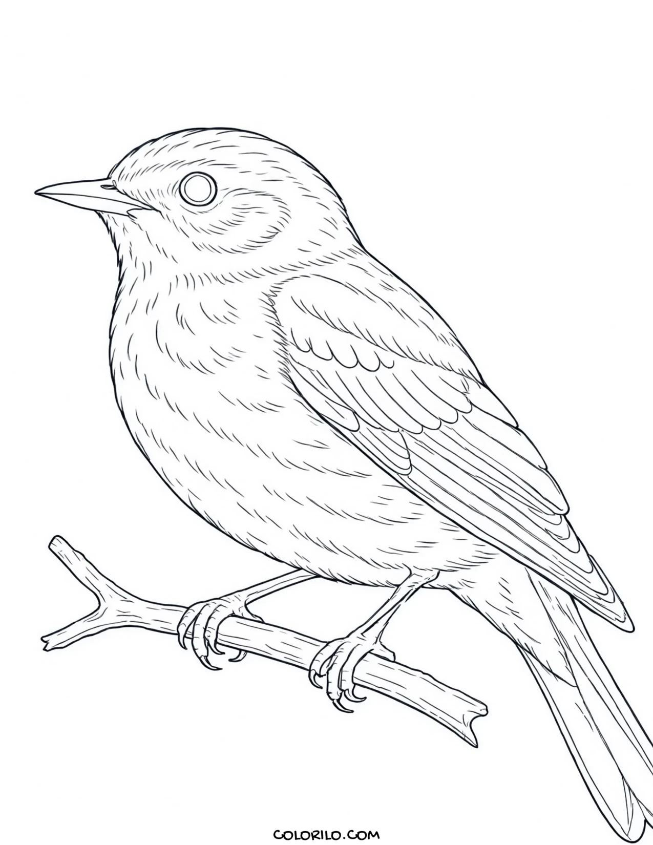 A black-capped chickadee coloring page
