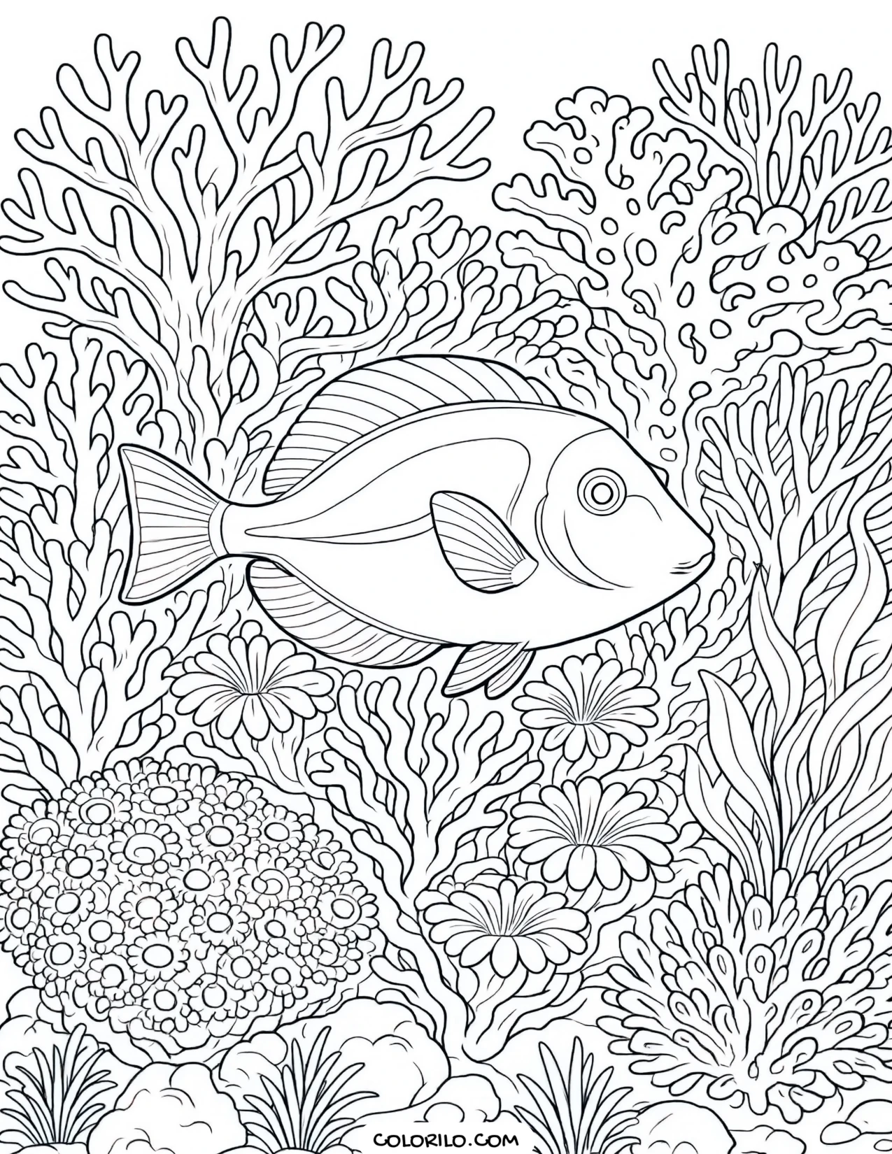 A blue tang weaving through coral coloring page