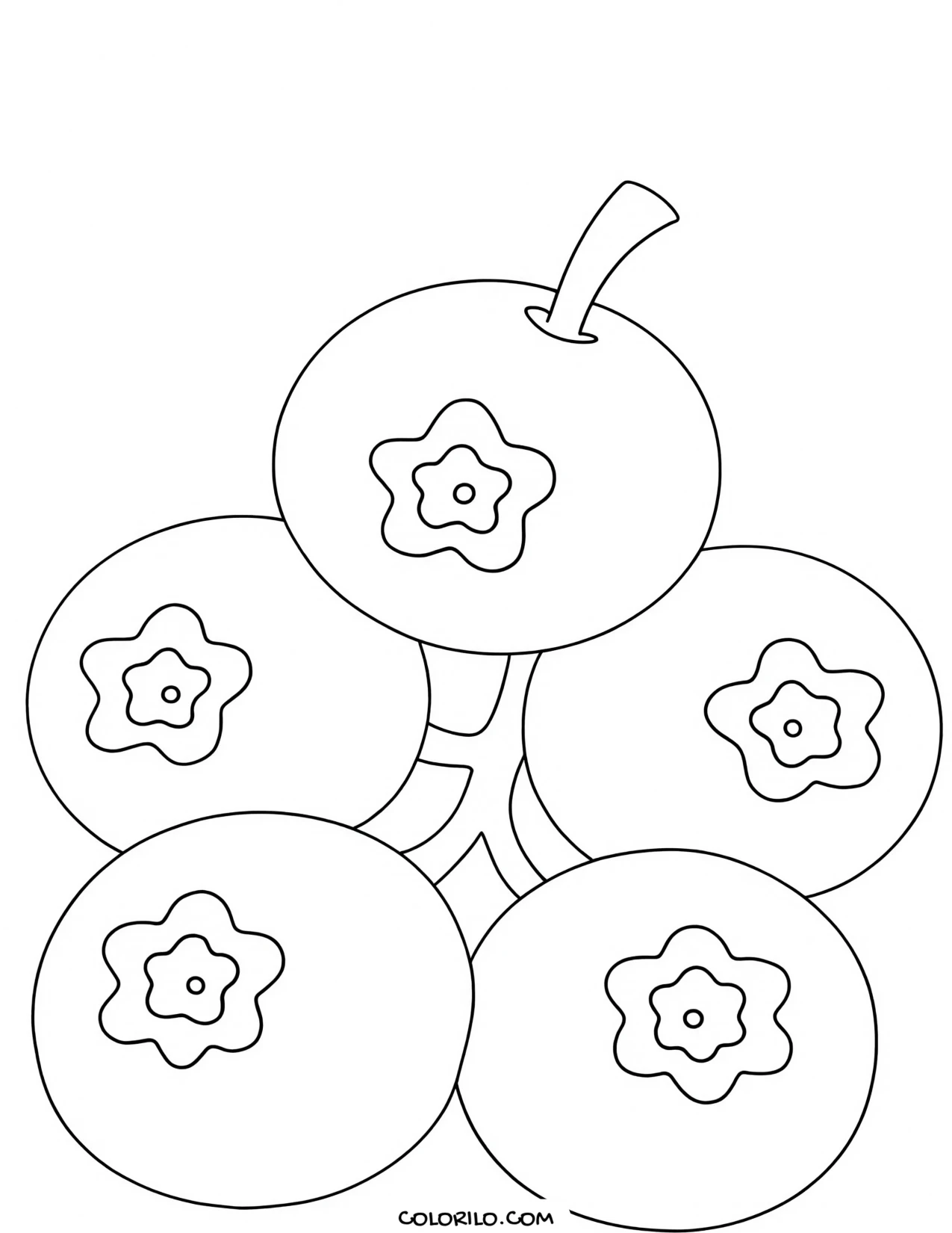 A cluster of blueberries coloring page