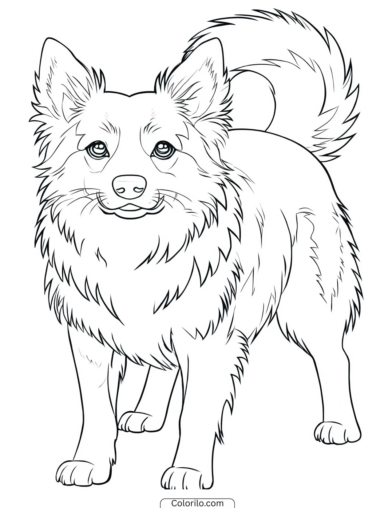 A Border Collie herding sheep coloring page