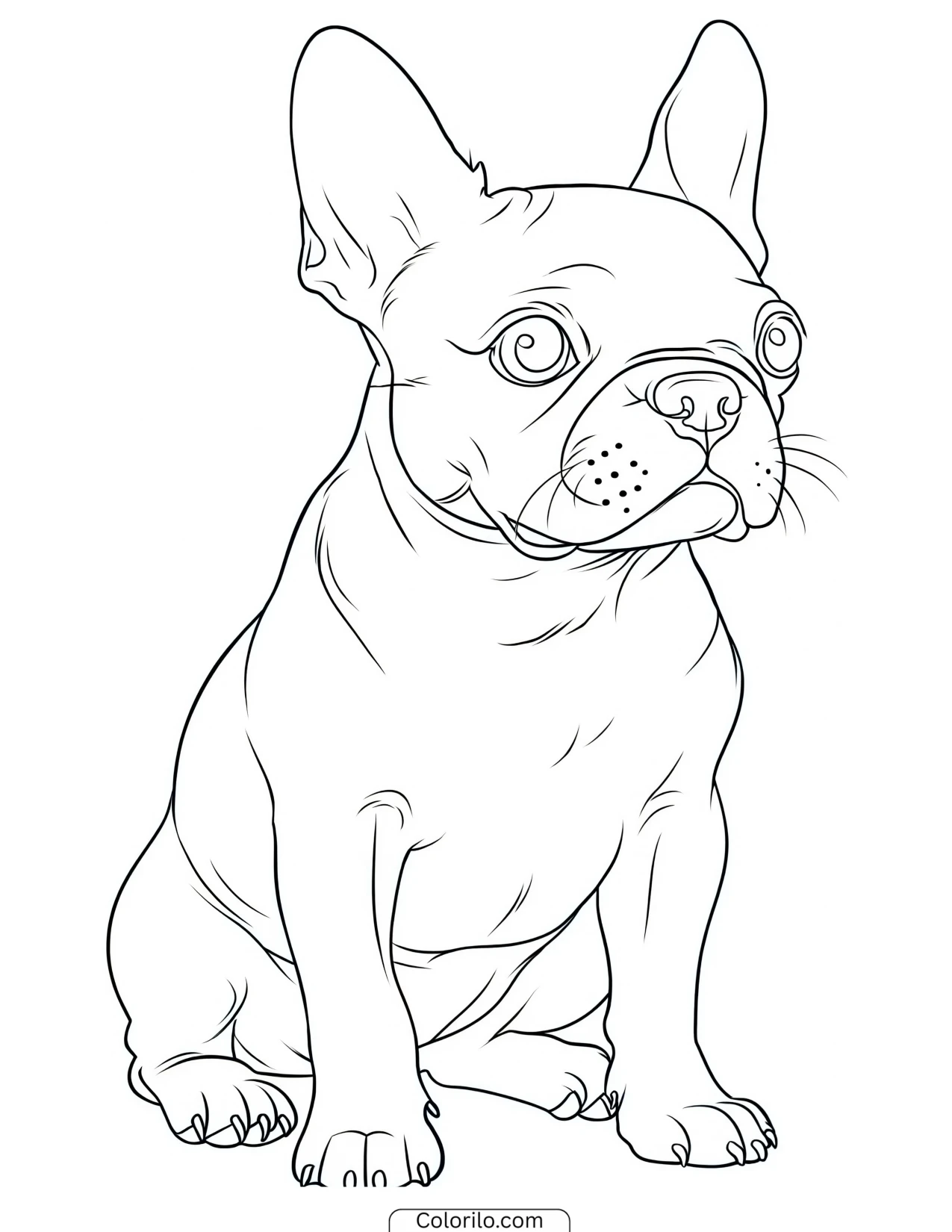 A Boston Terrier standing upright coloring page