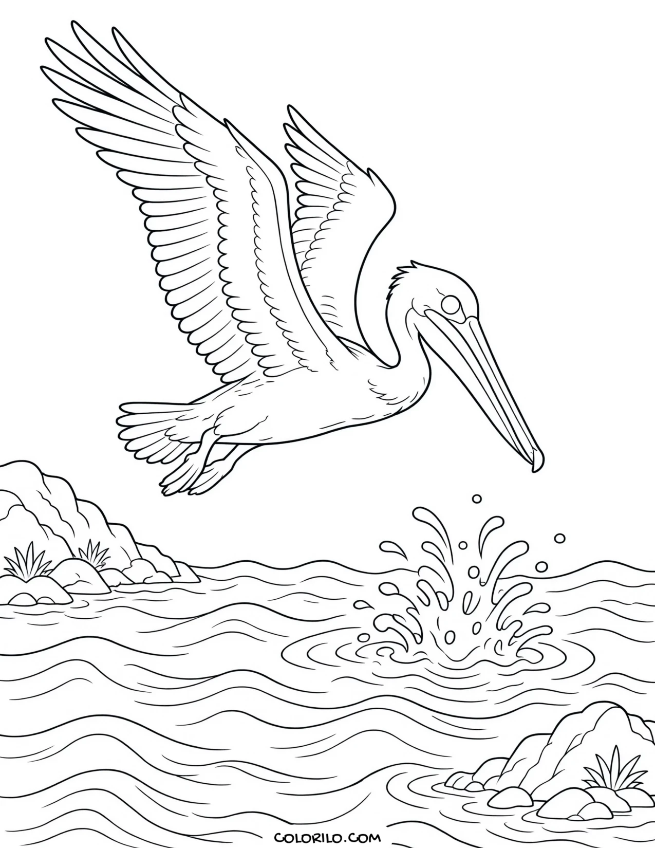 A brown pelican diving into the ocean coloring page