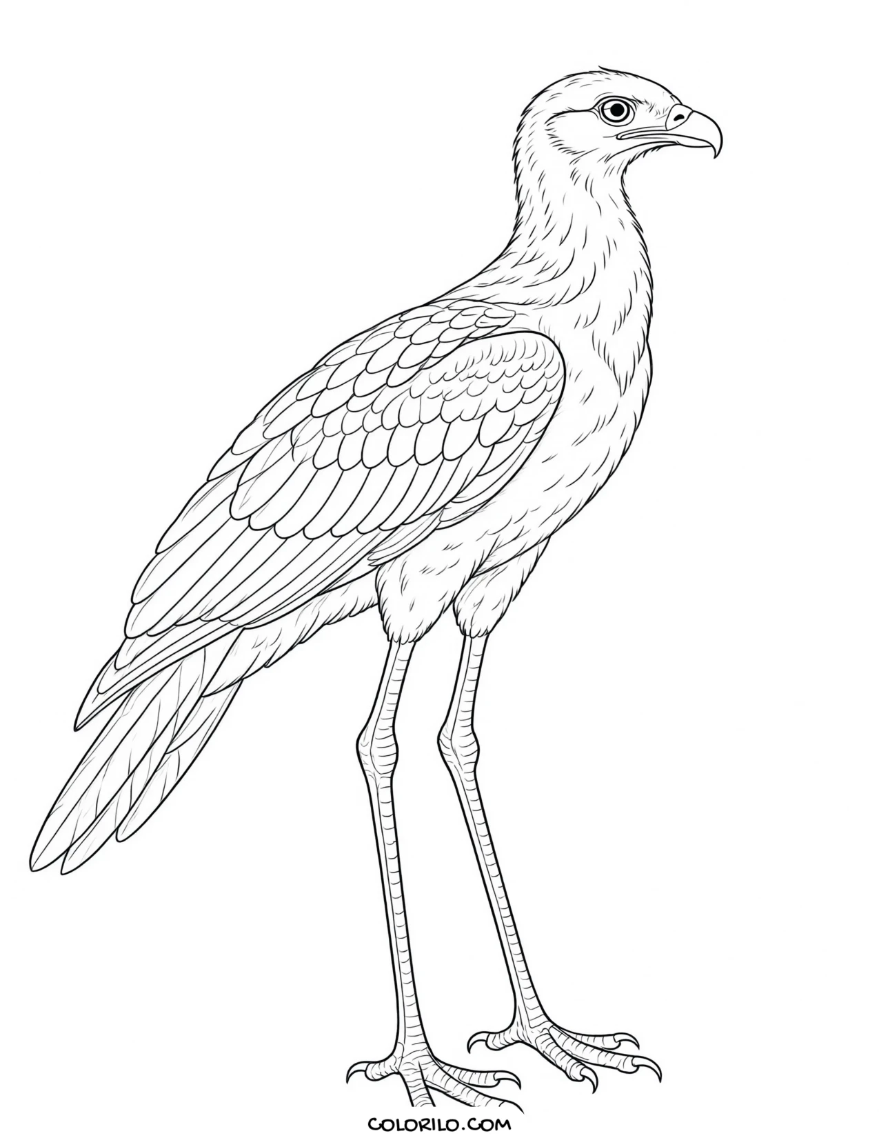 A California condor coloring page