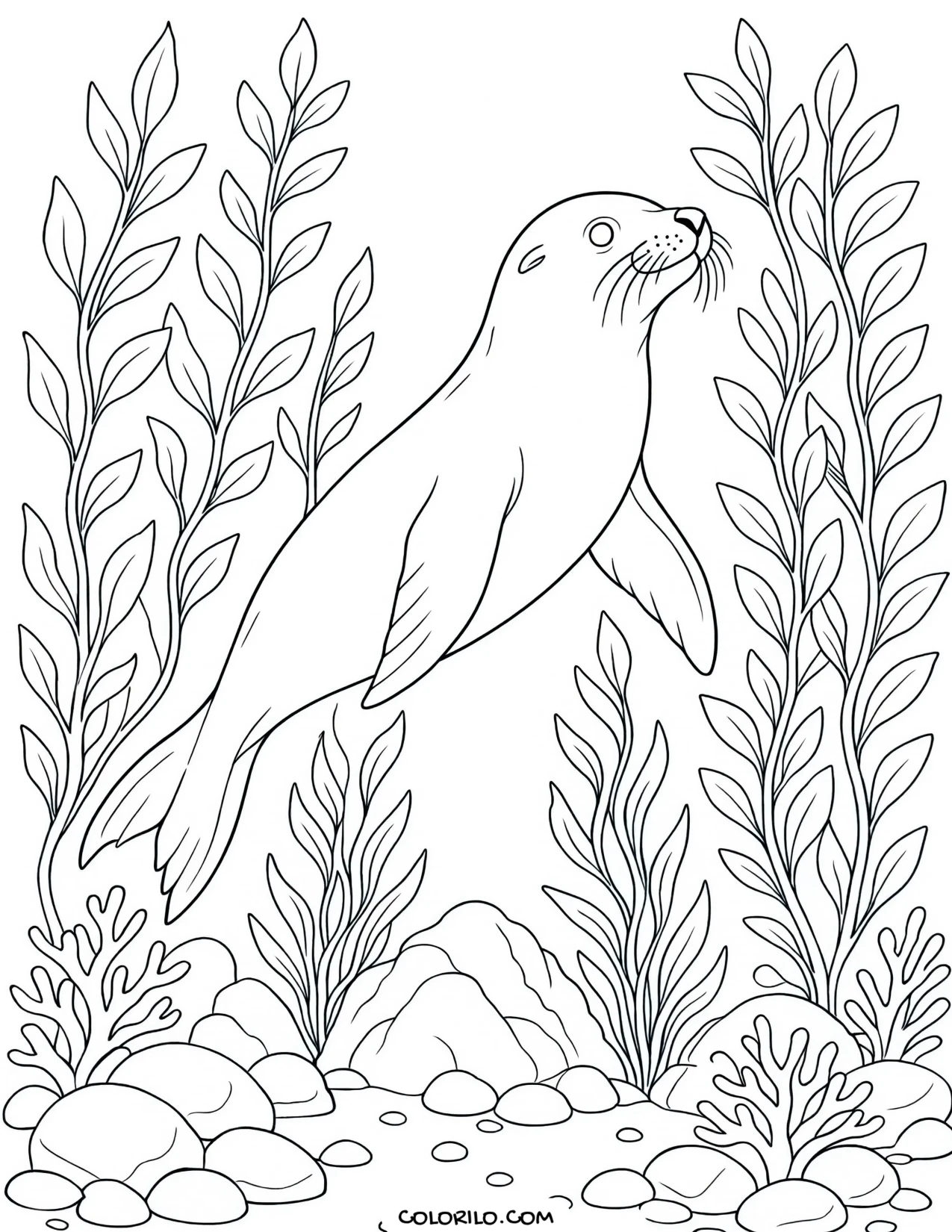 A California sea lion in the kelp forest coloring page