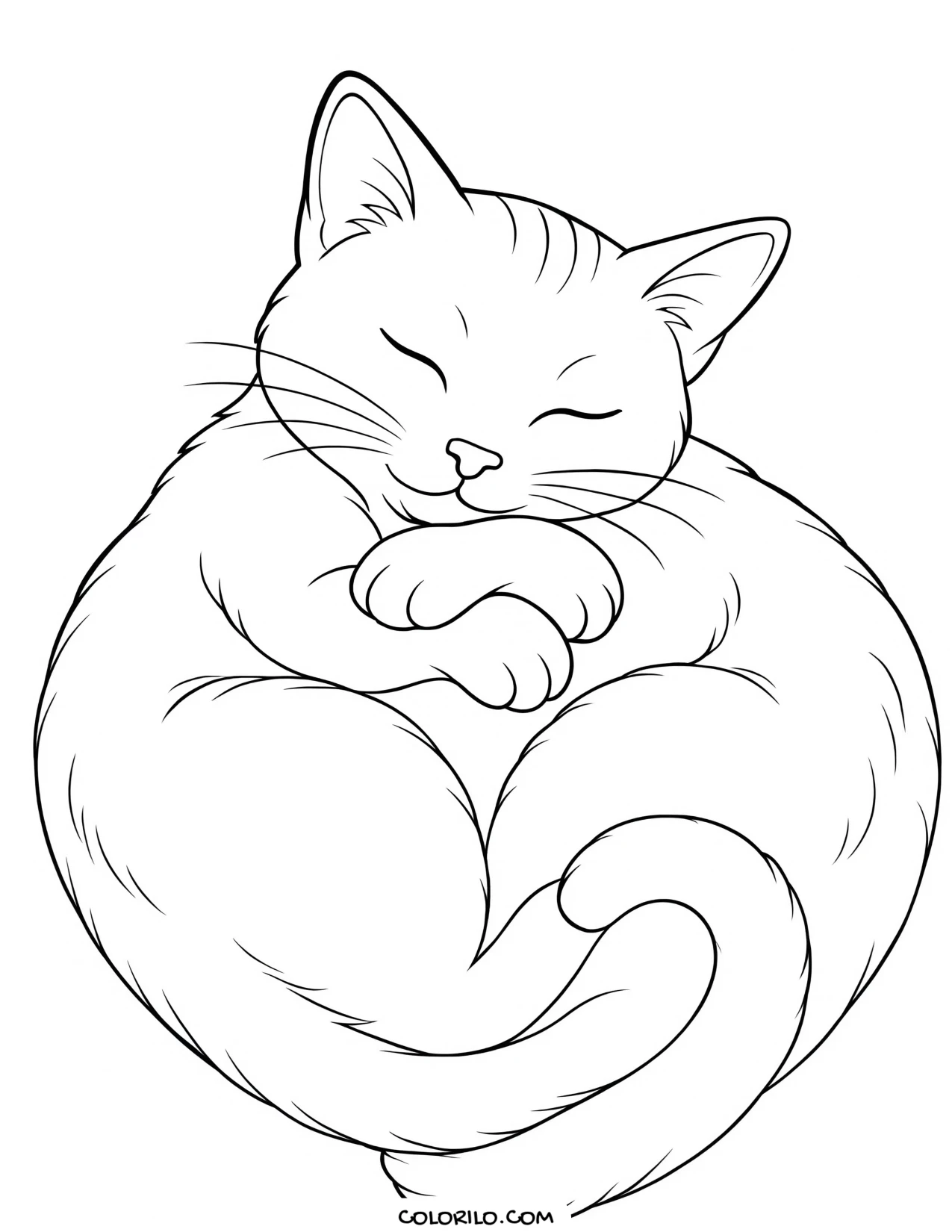 A cat curled into a heart shape coloring page