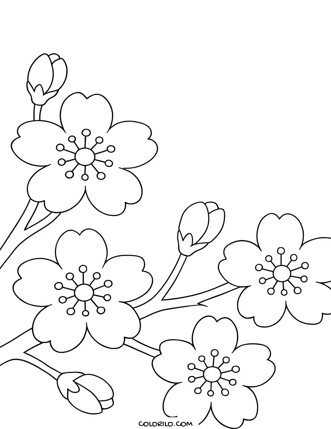a cherry branch covered in blossom coloring page