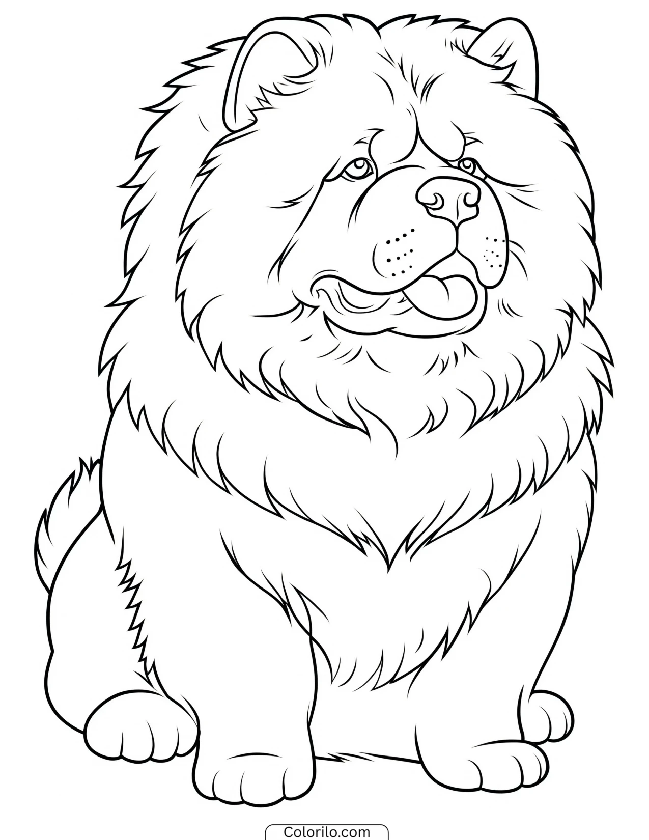 A Chow Chow with its lion-like mane coloring page