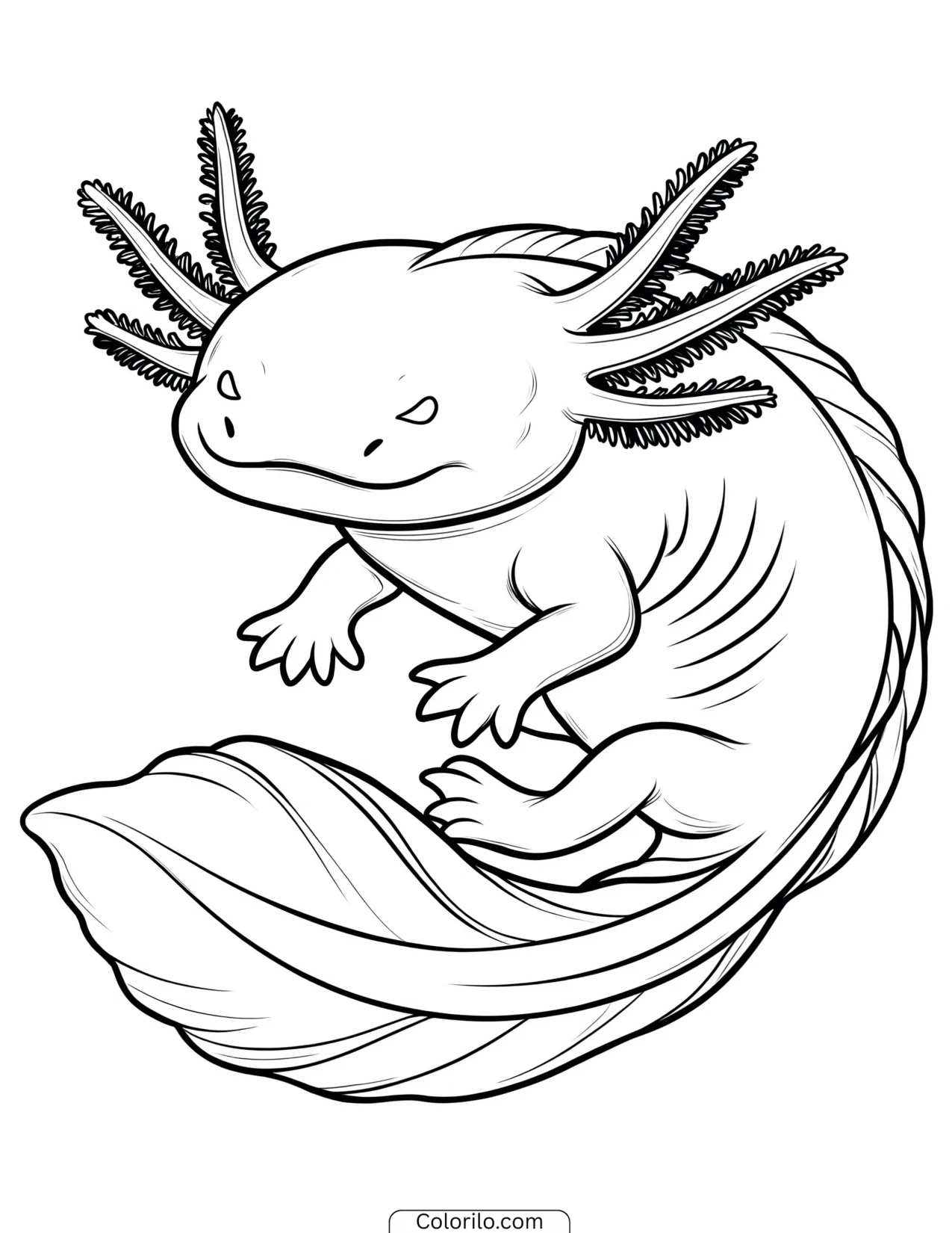 Portrait of a plump round axolotl coloring page