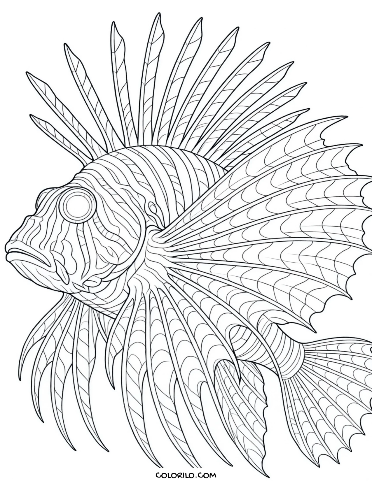 A close study of a lionfish's spines and fins coloring page
