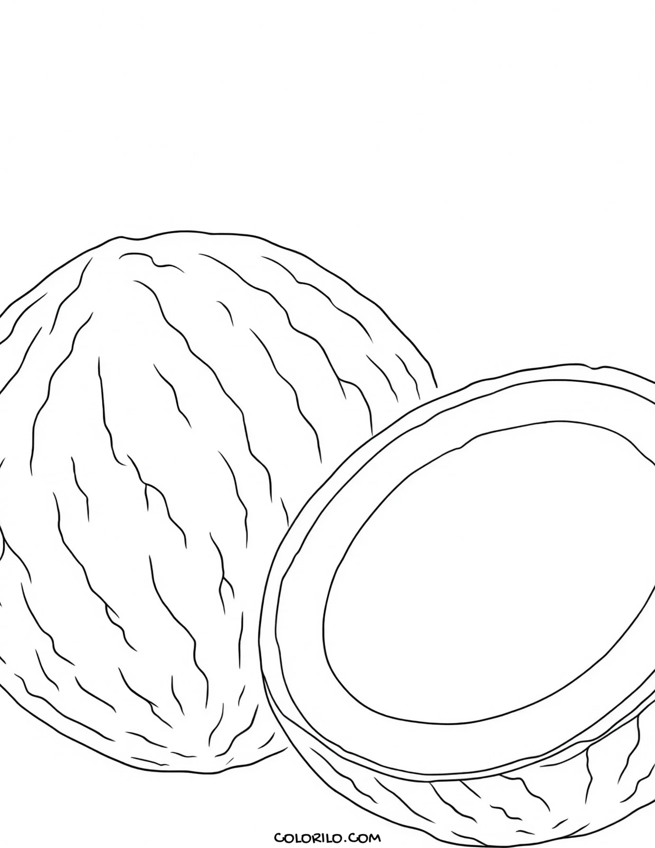 A whole coconut beside an open half coloring page