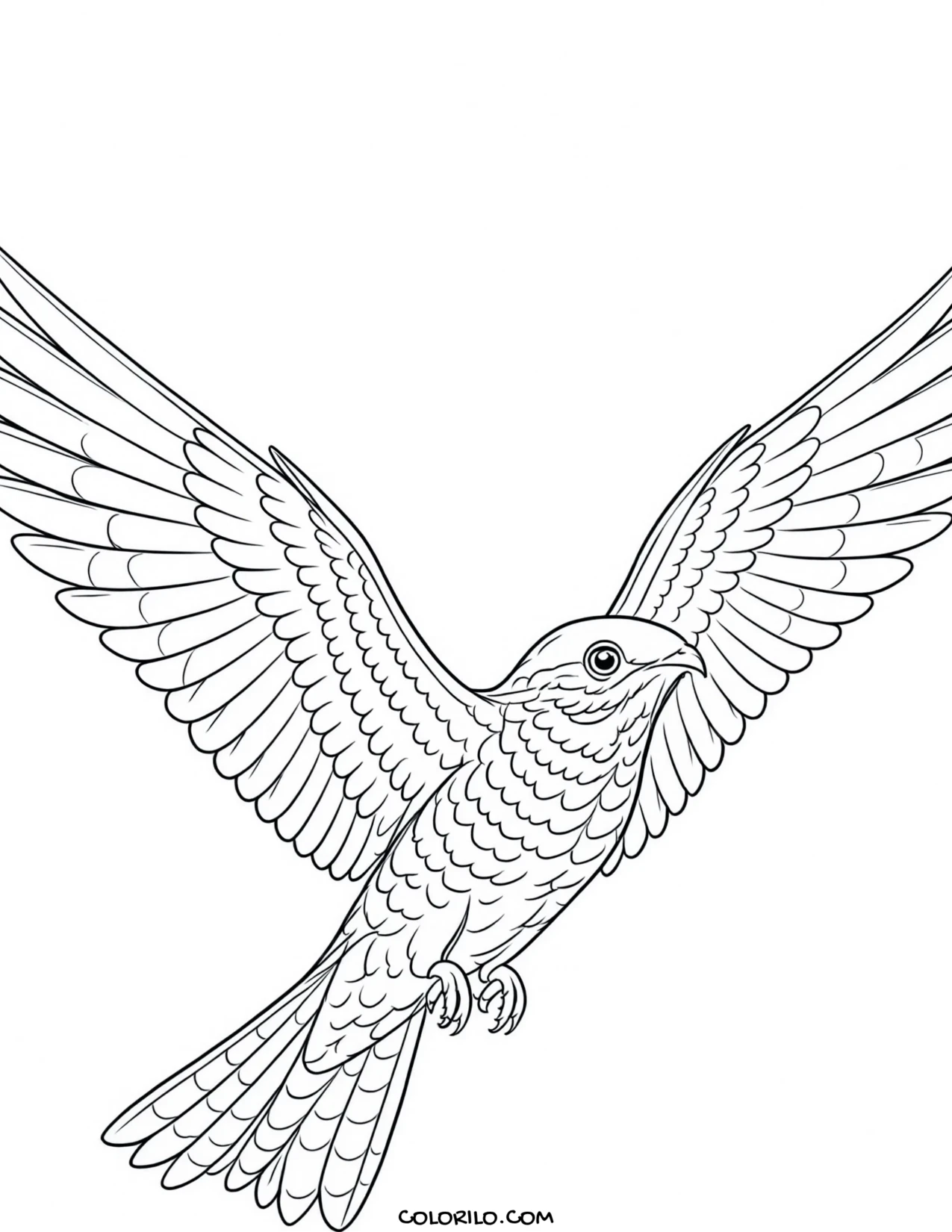 A common cuckoo coloring page