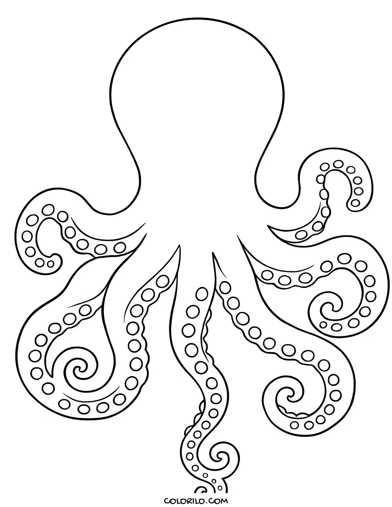 A common octopus with curled tentacles coloring page