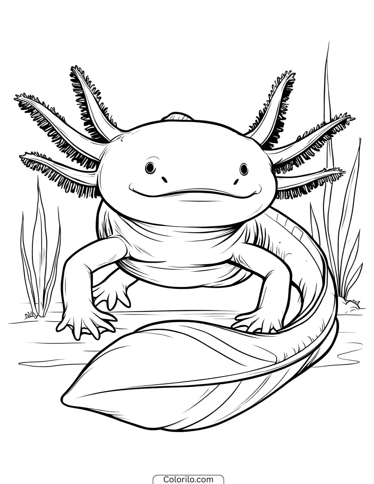 Content axolotl drifting slowly along coloring page