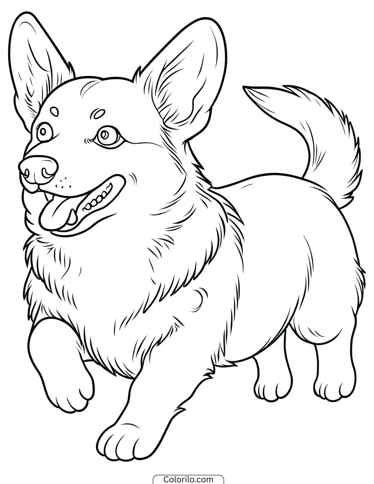 A Corgi running joyfully coloring page