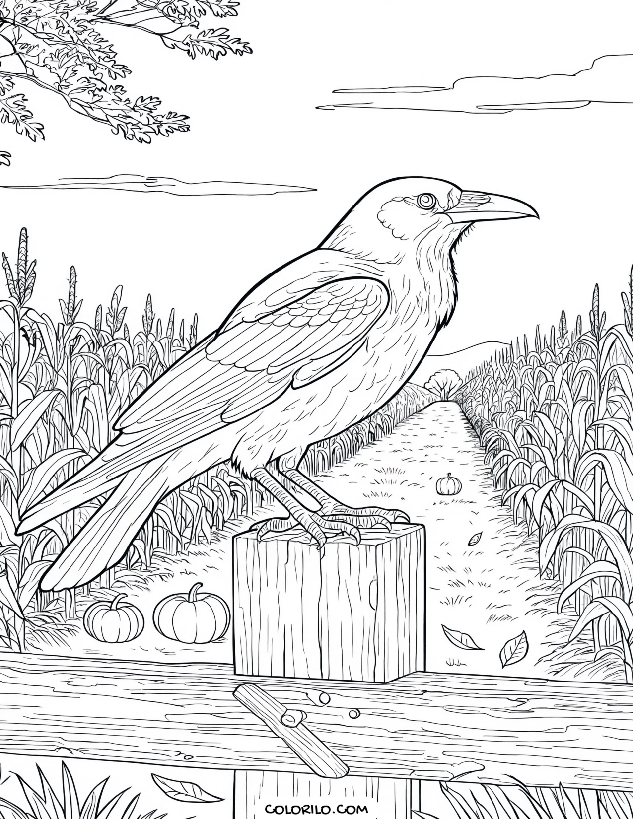 A crow perched on a fence post coloring page