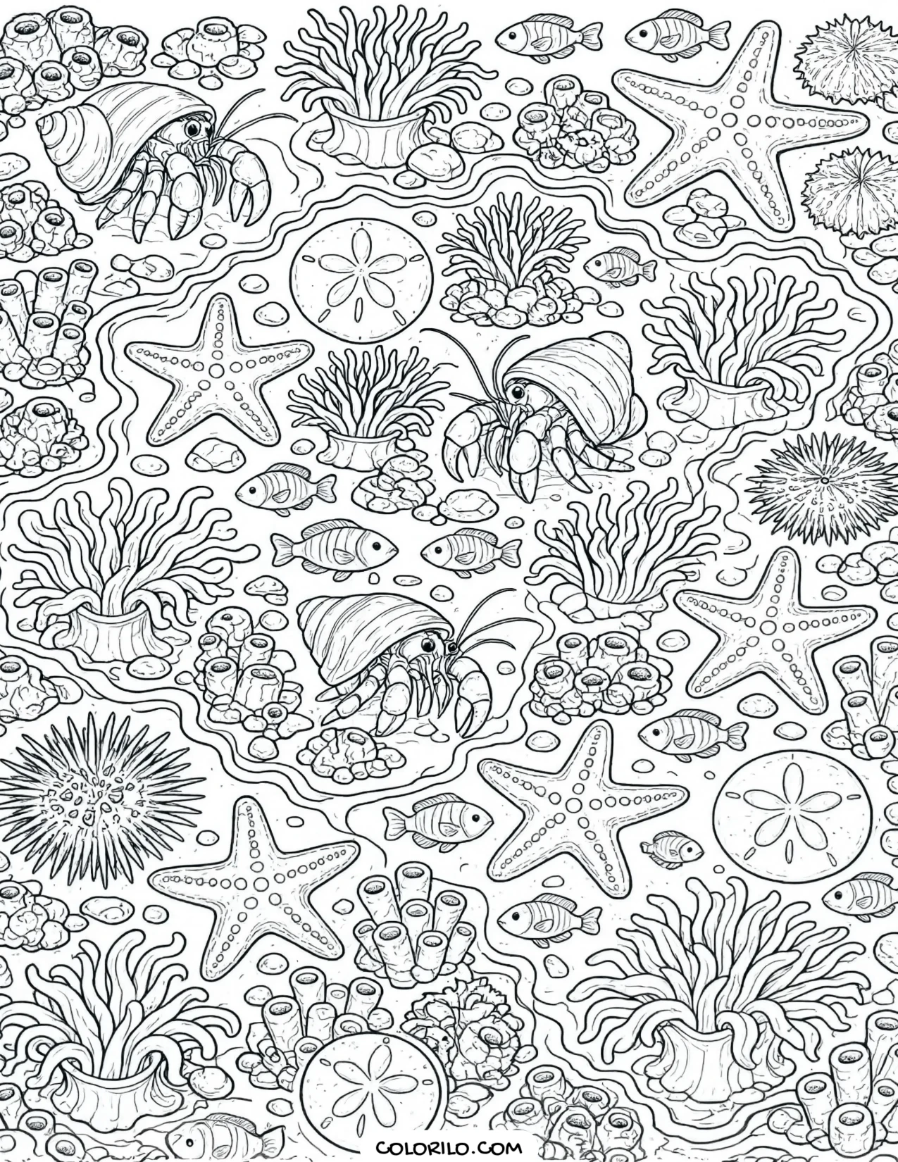 A crowded tide pool with crabs and starfish coloring page
