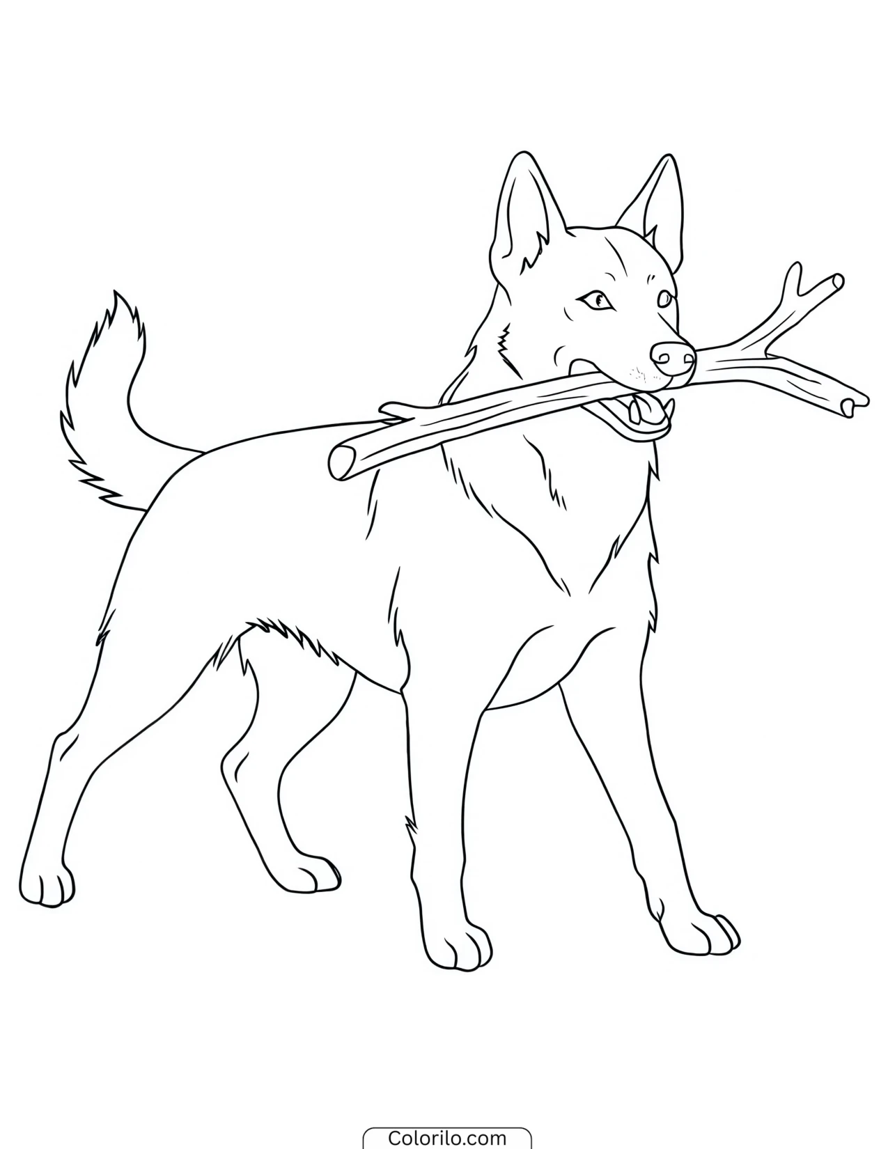 A dog carrying a stick in its mouth coloring page