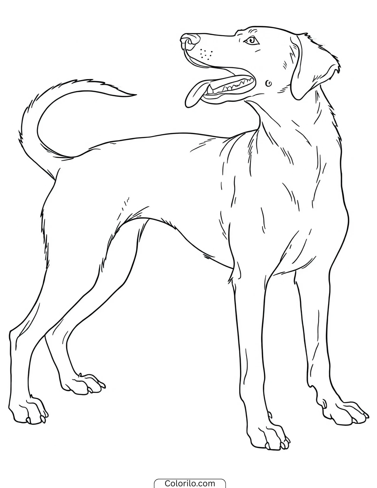A dog chasing its own tail coloring page
