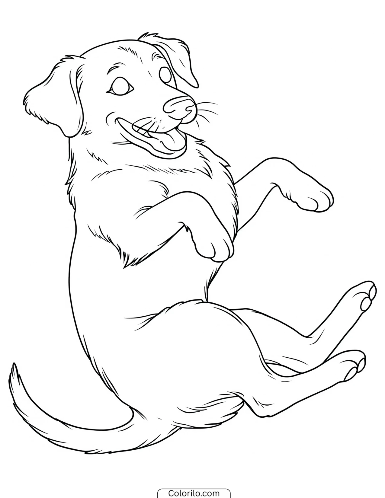 A dog rolling on its back coloring page