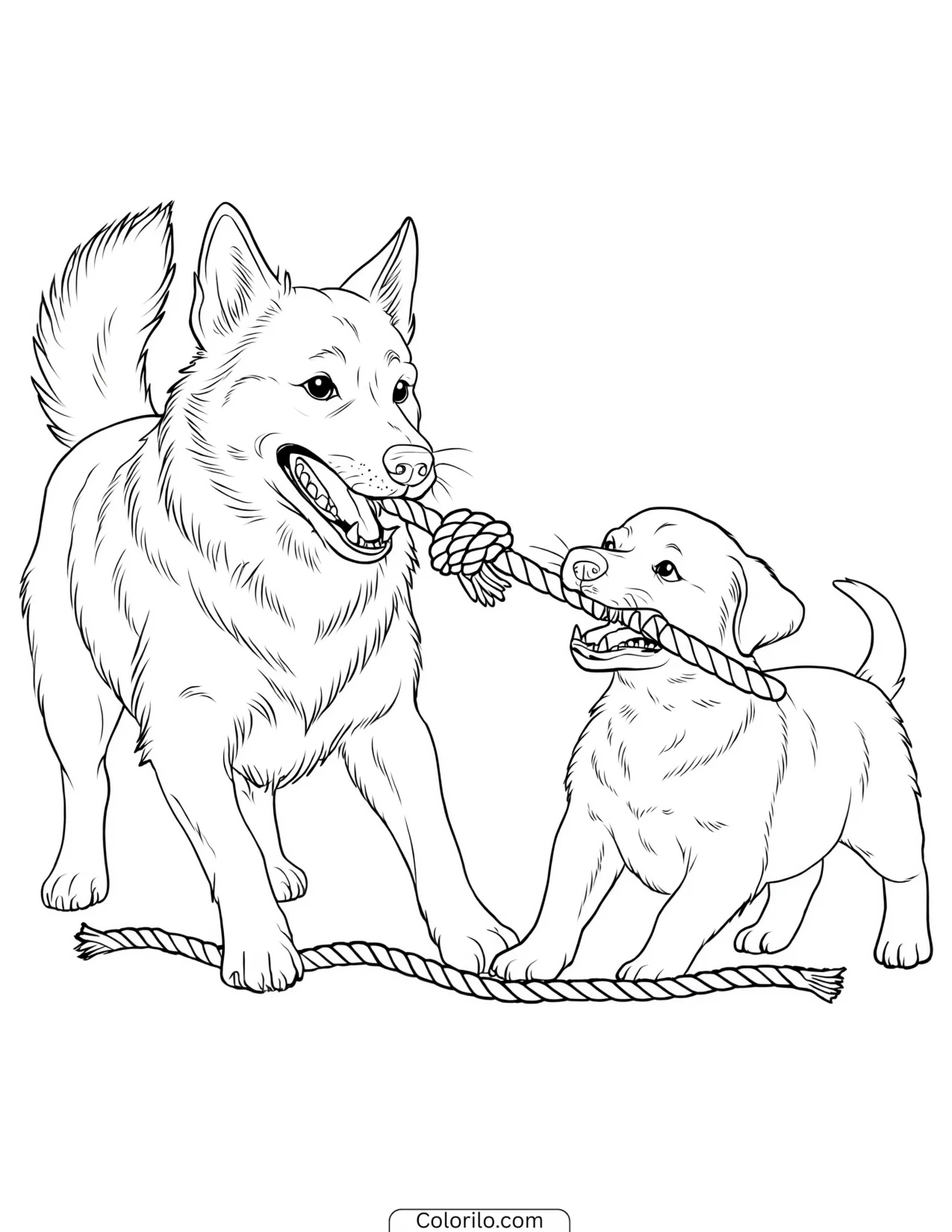 Two dogs playing tug of war coloring page