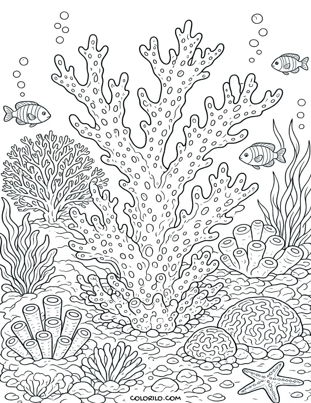 Elkhorn coral on a Caribbean reef coloring page