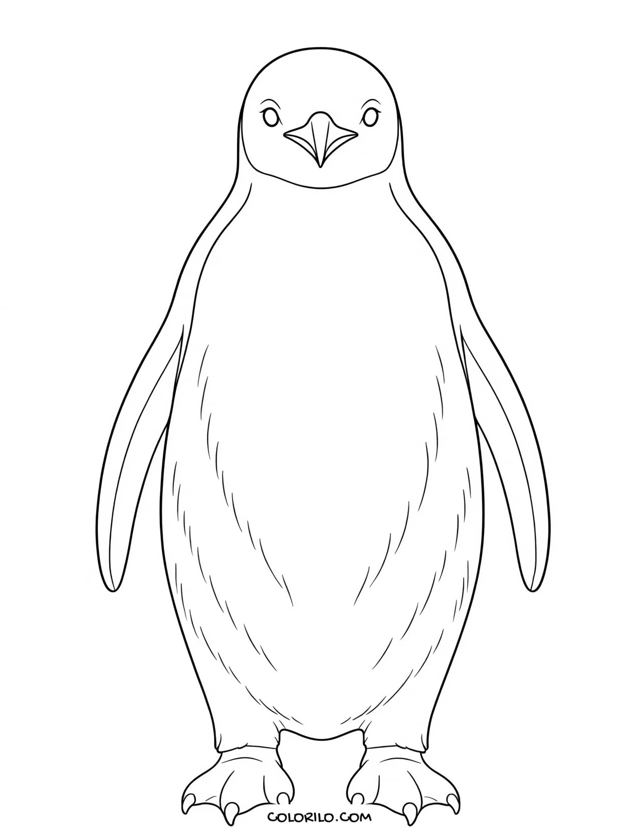 An emperor penguin coloring page