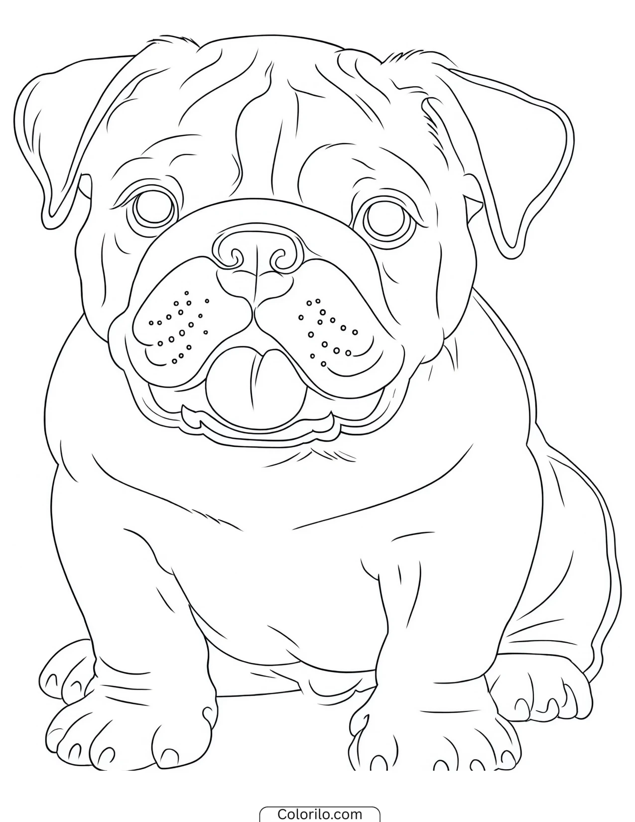 An English Bulldog puppy coloring page