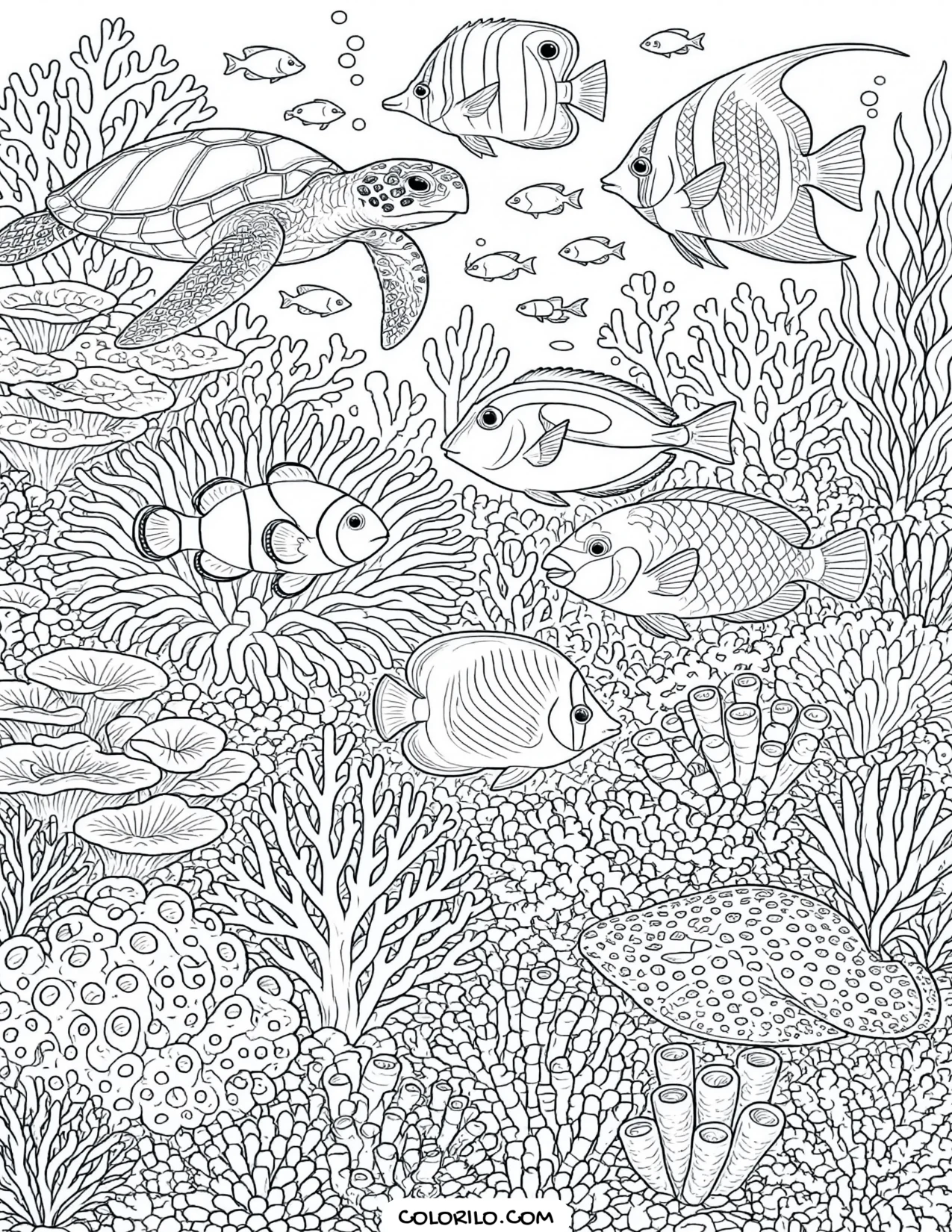 An expansive coral reef with many species coloring page