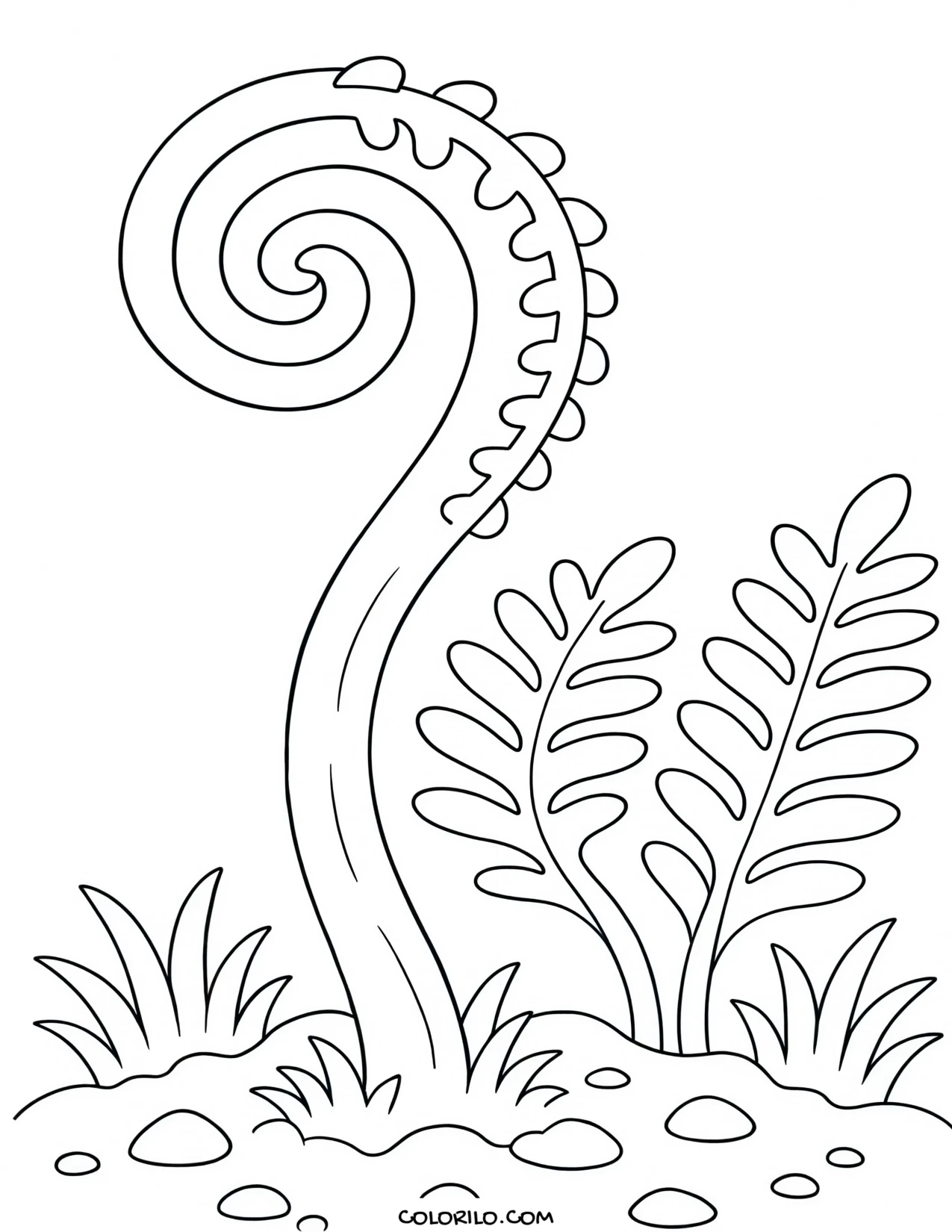 a young fern uncurling into a fiddlehead coloring page
