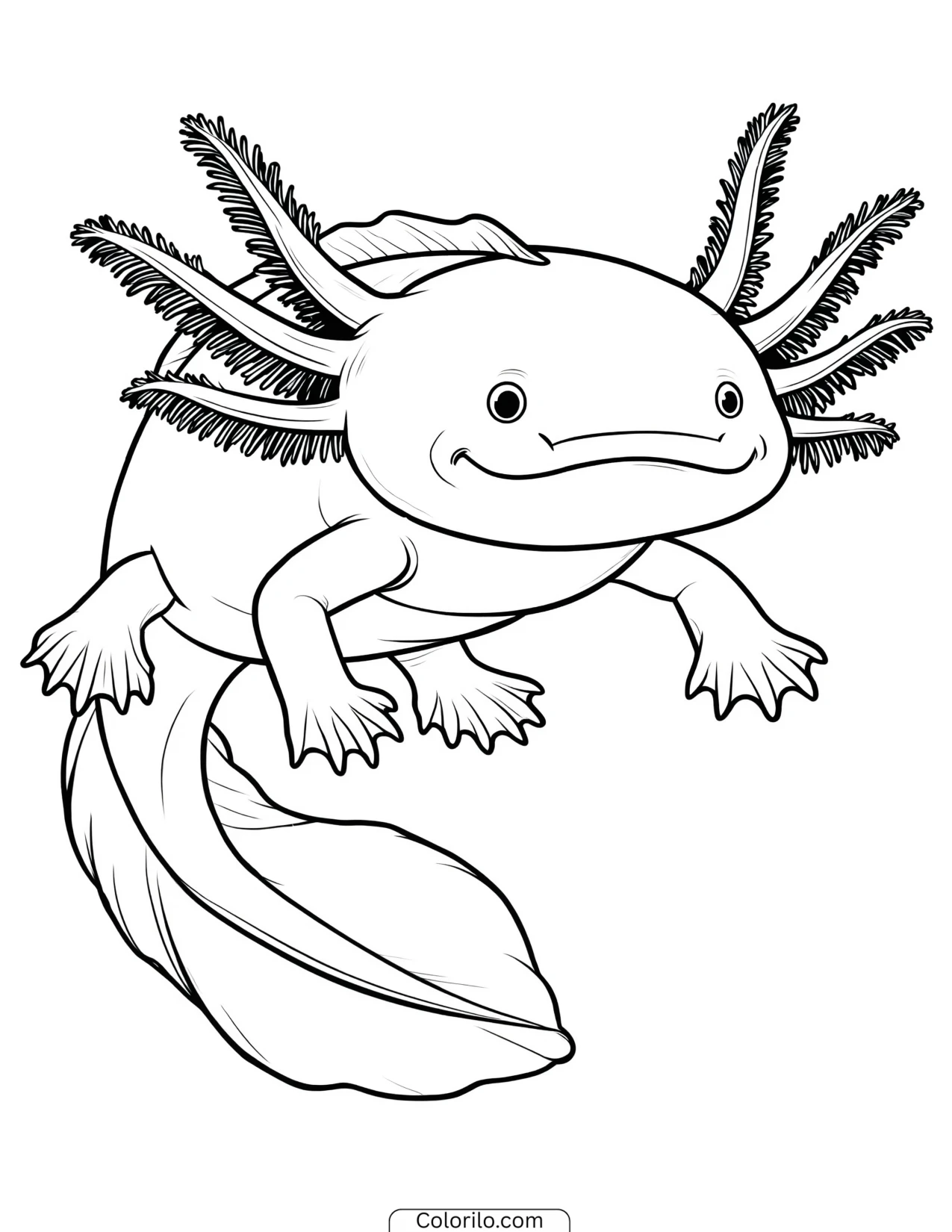 Axolotl floating with both arms held out coloring page